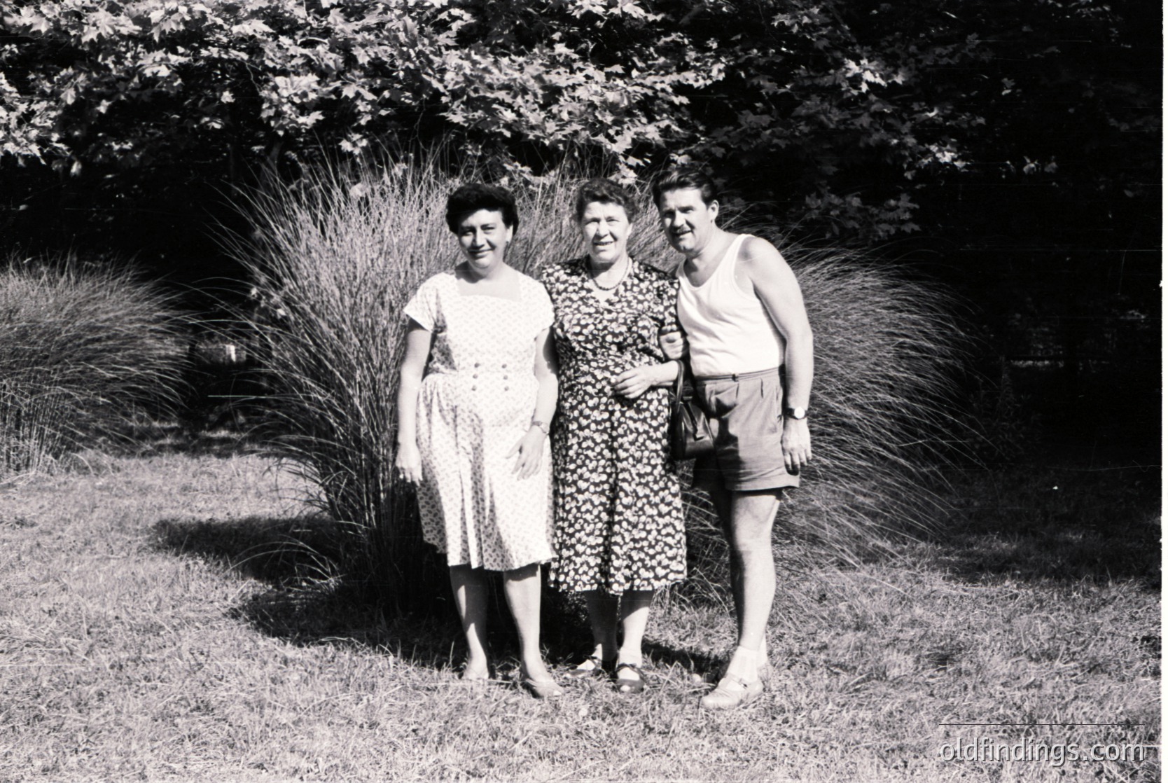 Three individuals pose outdoors in mid-20th-century attire, likely 1950s–1960s. Woman on left wears a sleeveless dress with a patterned bodice; center figure in a floral dress with a belt; man on right in a tank top and shorts. Lush greenery and ornamental grasses frame them.