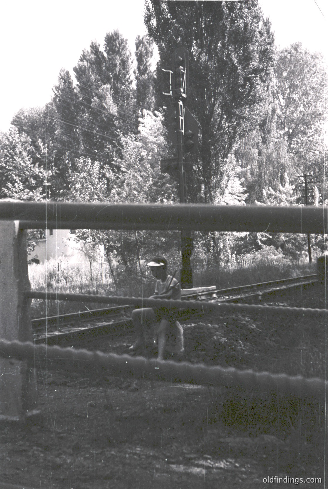 Mid-20th century black-and-white shot of a person mid-crossing on a high-wire, framed by a train window. Dense forest and industrial-era telegraph poles in background suggest rural or suburban setting. Clothing and wire design hint at 1950s-60s era.