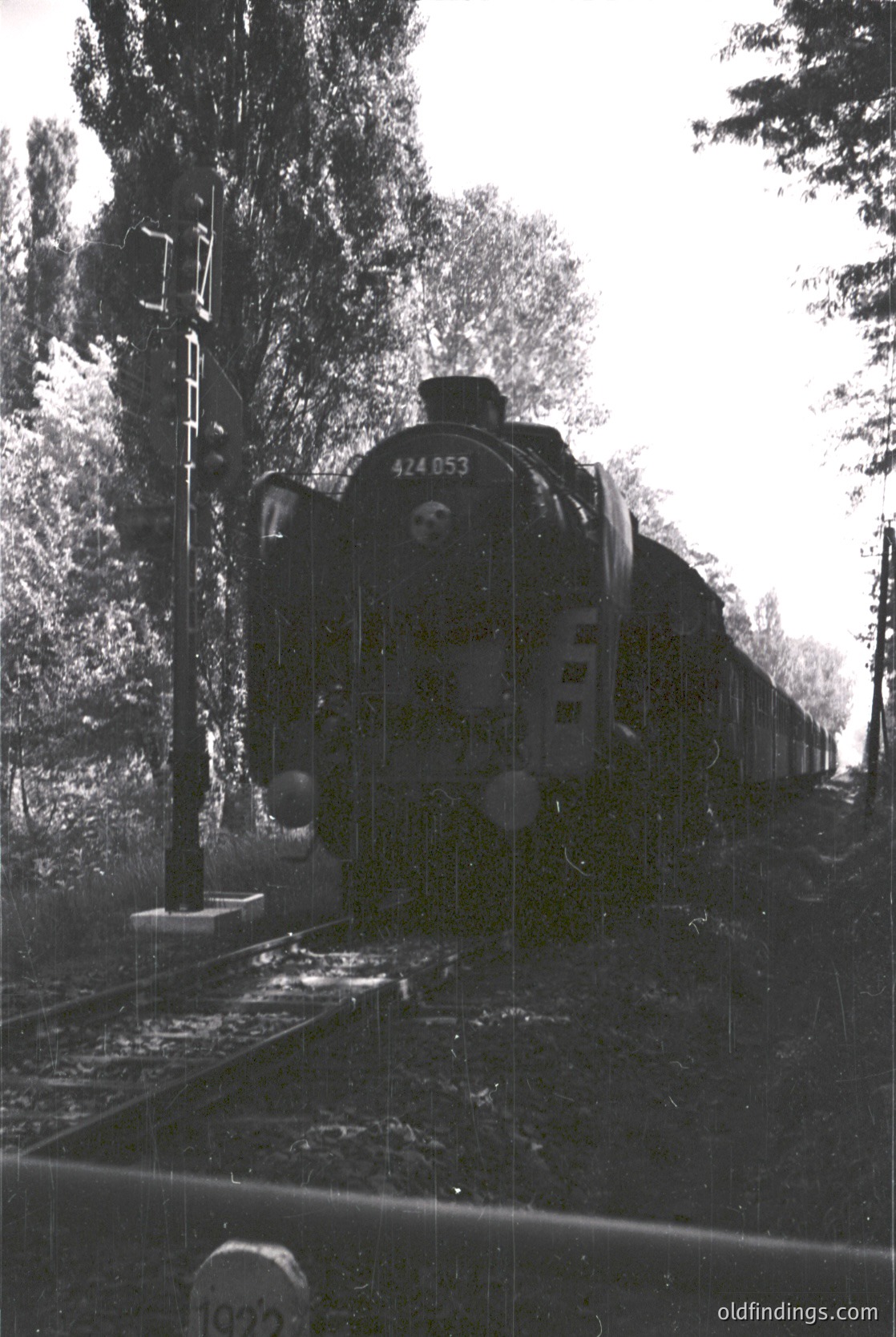 Vintage steam locomotive 053 on tracks, surrounded by dense forest. Side view shows classic 20th-century European rail design. Overgrown tracks suggest mid-century abandonment or preservation.