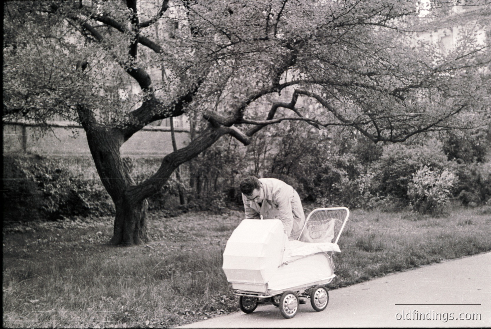 Mid-20th century black-and-white street scene: man in suit adjusts vintage white stroller on paved road beside leafy tree. Urban park or residential area, likely 1950s–1960s. Classic design reference for retro parenting or city life archives.