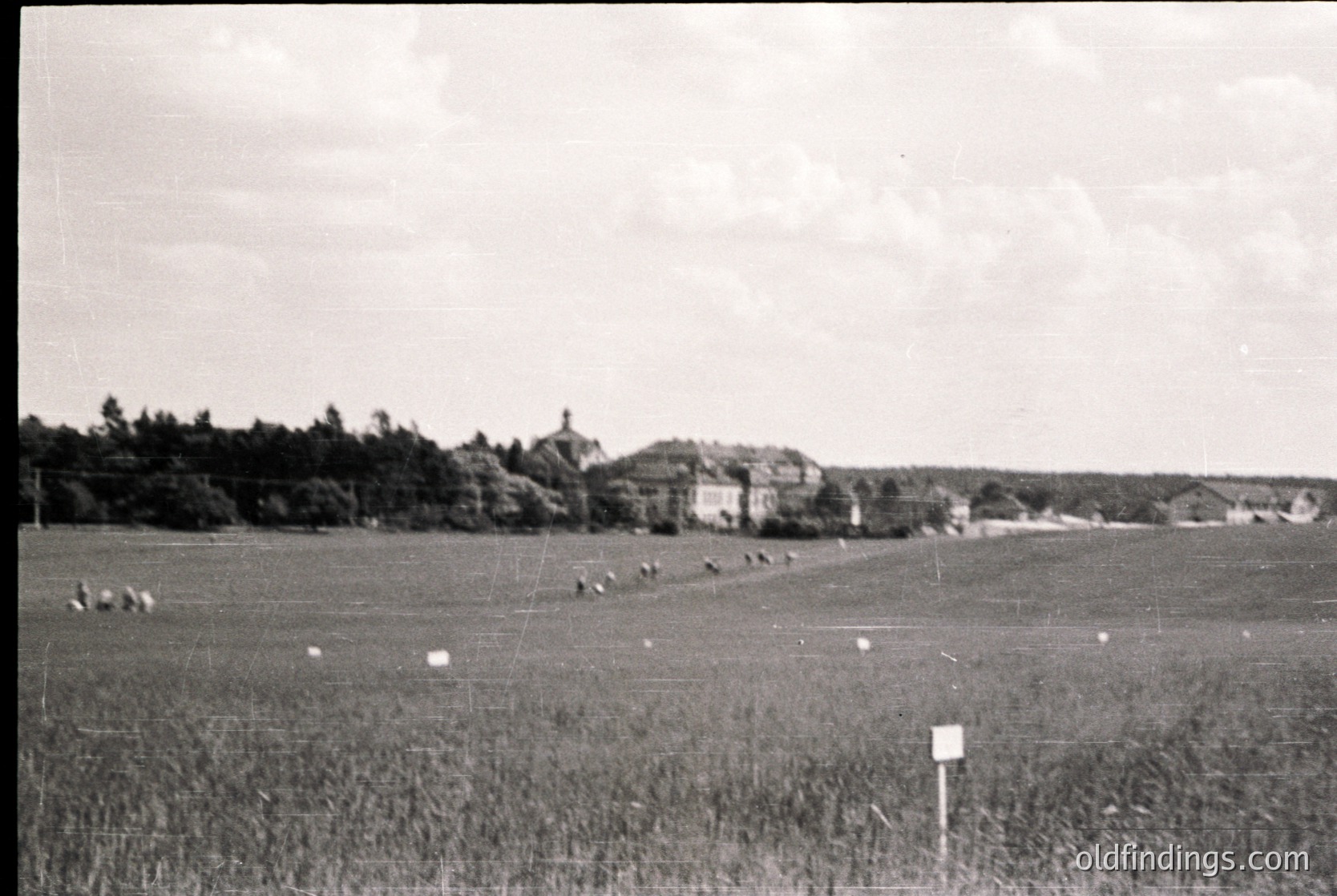 Mid-20th century rural landscape with sheep grazing in a tall grass field. Distant village with clustered brick houses and a church steeple. Overcast sky enhances vintage sepia tone.