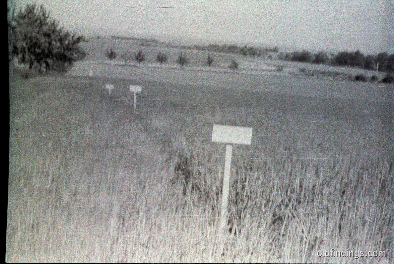 Vintage black-and-white rural landscape featuring three blank wooden signposts in a tall grass field. Distant tree line and open horizon suggest agricultural land, likely mid-20th century.