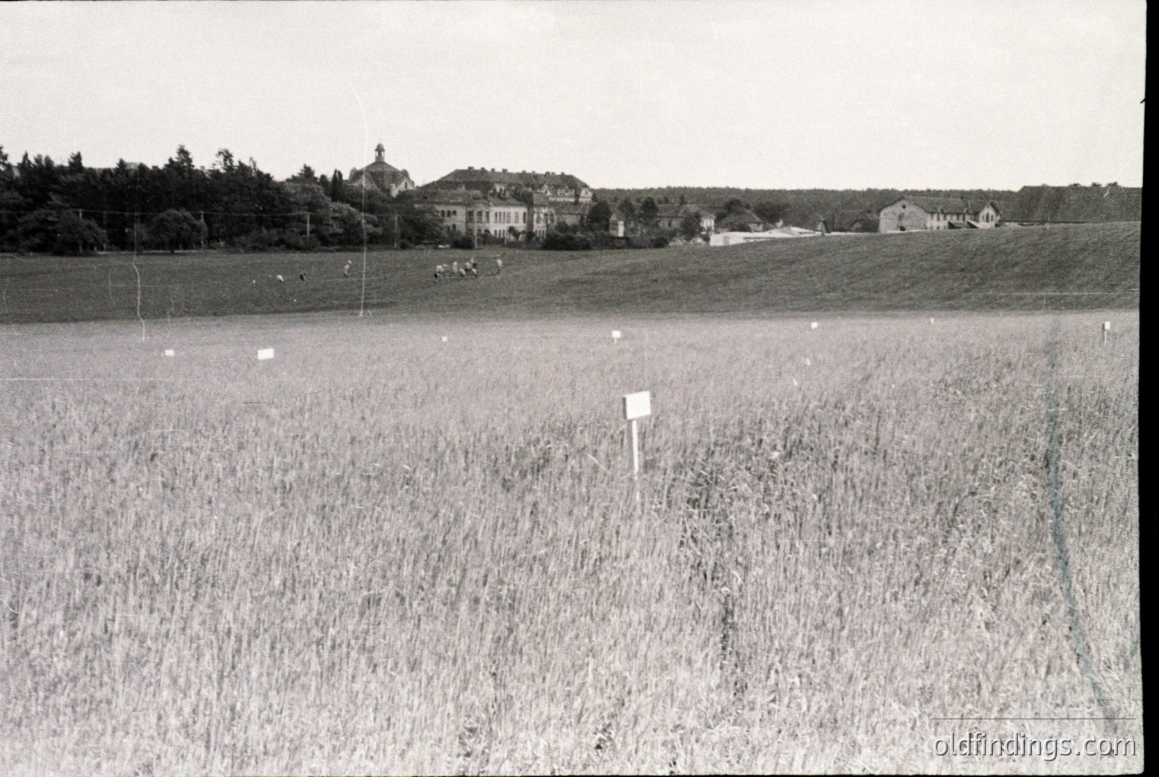Mid-20th century rural landscape featuring tall grass fields with a signpost in foreground. Distant buildings—likely residential or agricultural—surrounded by trees. Overcast sky suggests early photography era (pre-1960s). Ideal for historical research or vintage stock imagery.