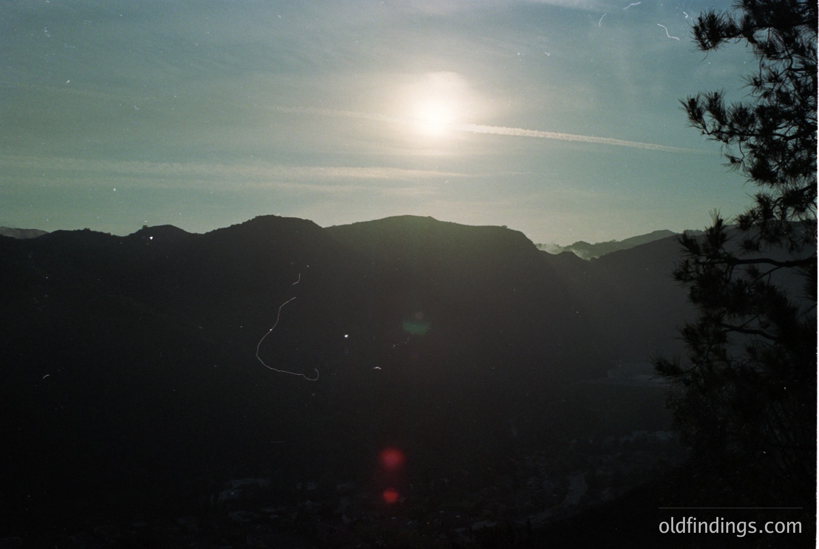Sunburst through thin clouds illuminates rugged mountain peaks, creating lens flare. Silhouetted pine tree frames right edge. Likely captured during golden hour for dramatic contrast.