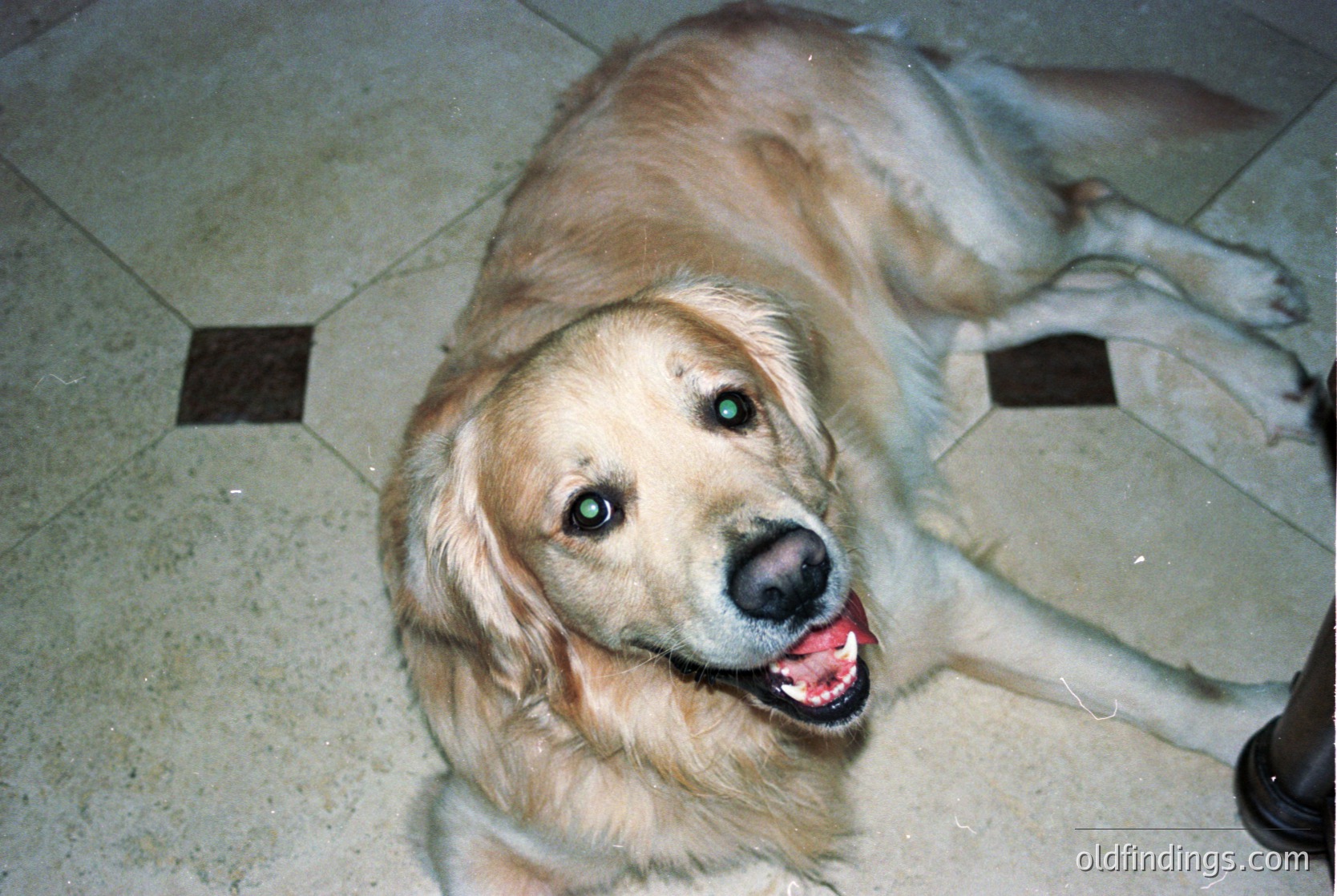 Golden Retriever lying relaxed on tiled floor, tongue out in a playful pant. Indoor setting with geometric tile pattern and partial view of a dark-furniture corner. Candid, warm lighting suggests a home environment.