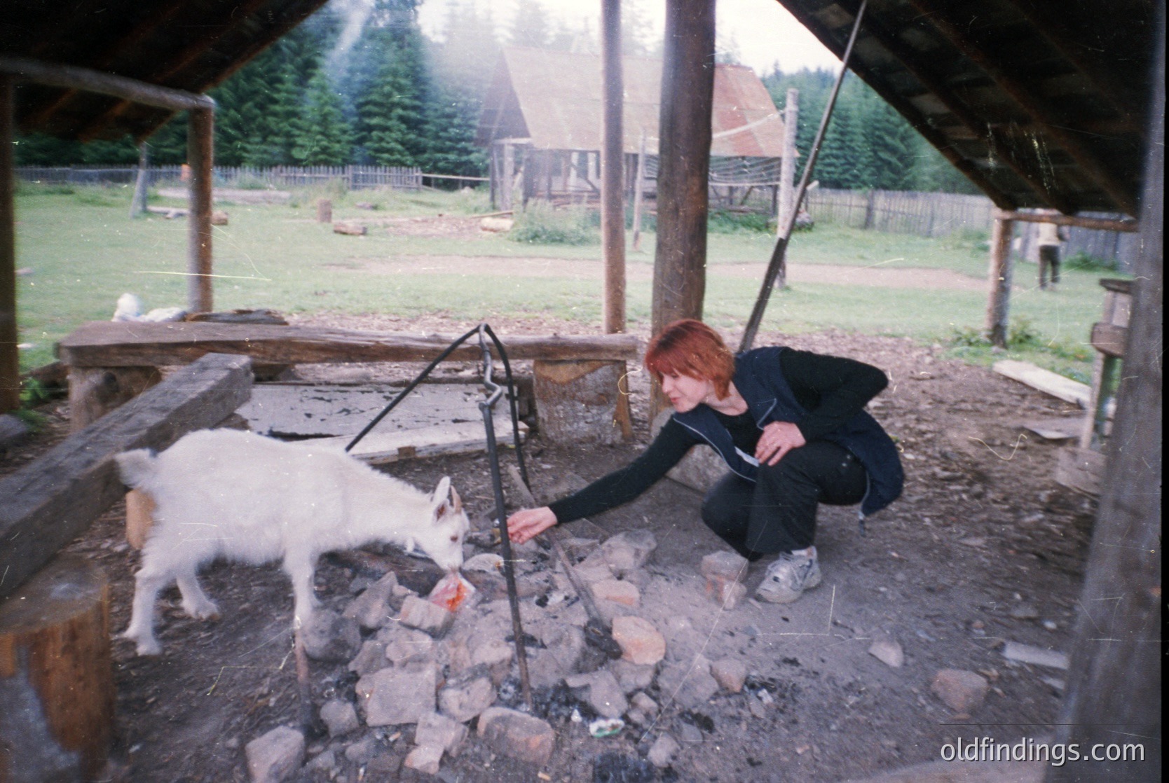 Rural scene featuring a woman tending to a small fire in an outdoor stone hearth, surrounded by rocks. A goat stands nearby, while a dog observes. Wooden beams and a thatched roof suggest a traditional or farm setting. Likely late 20th century, possibly .