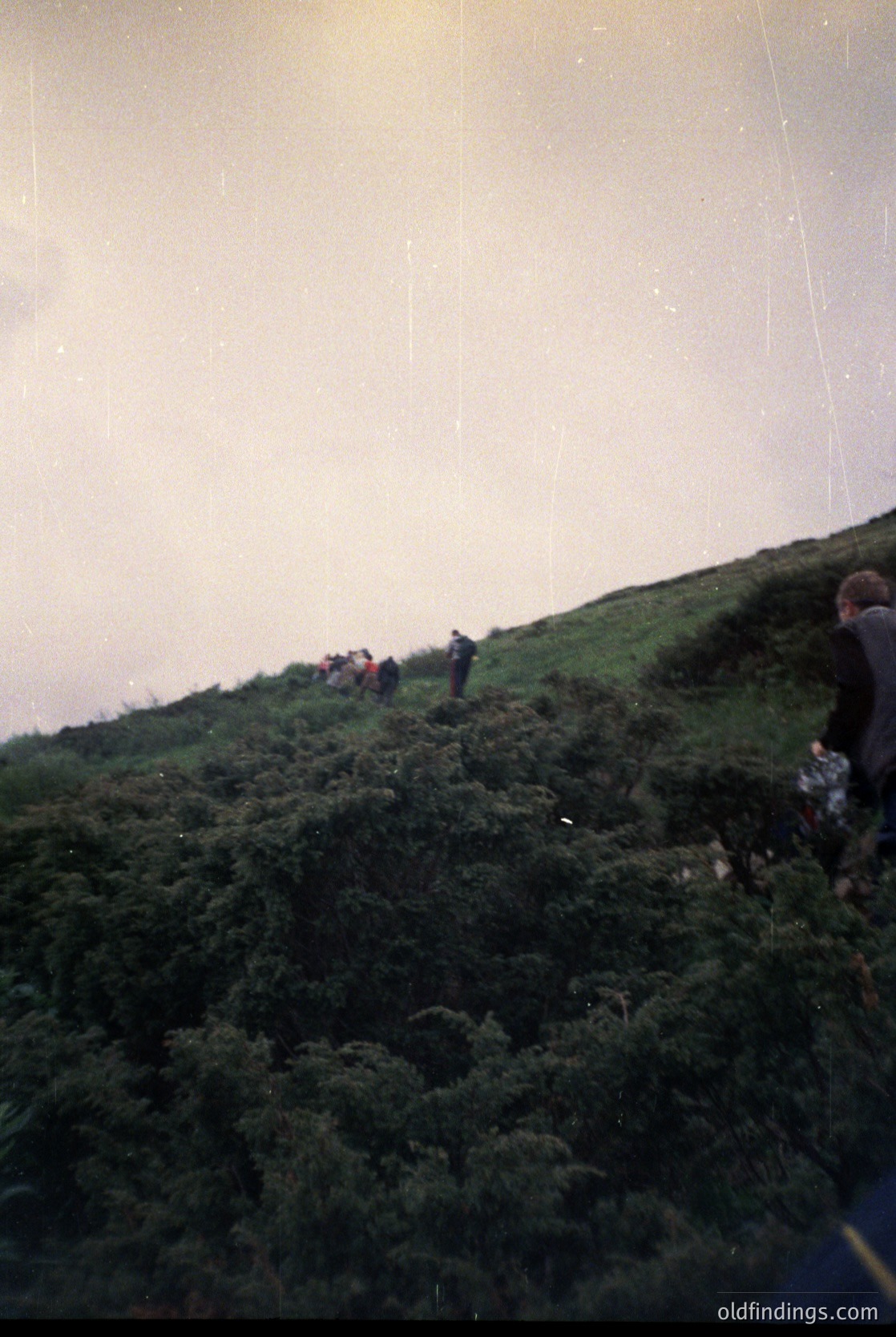 Vintage black-and-white photo of a group hiking on a steep, rocky hillside with sparse vegetation. Fog or mist obscures the upper slope, creating a dramatic backdrop. Casual attire suggests mid-20th century outdoor recreation.