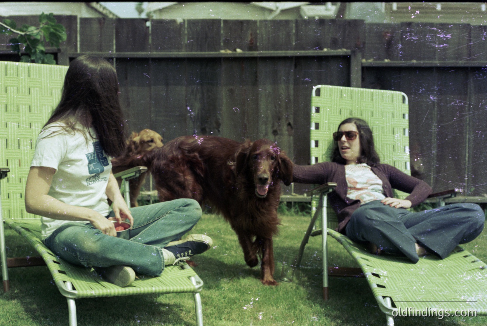 Vintage 1970s outdoor scene featuring two individuals lounging on green metal deck chairs in a grassy area. A large brown dog stands between them, appearing playful. Both wear casual attire: one in a white T-shirt with a logo and jeans, the other in a brown jacket and dark pants. The background shows a brick wall and greenery, suggesting a courtyard or backyard setting.