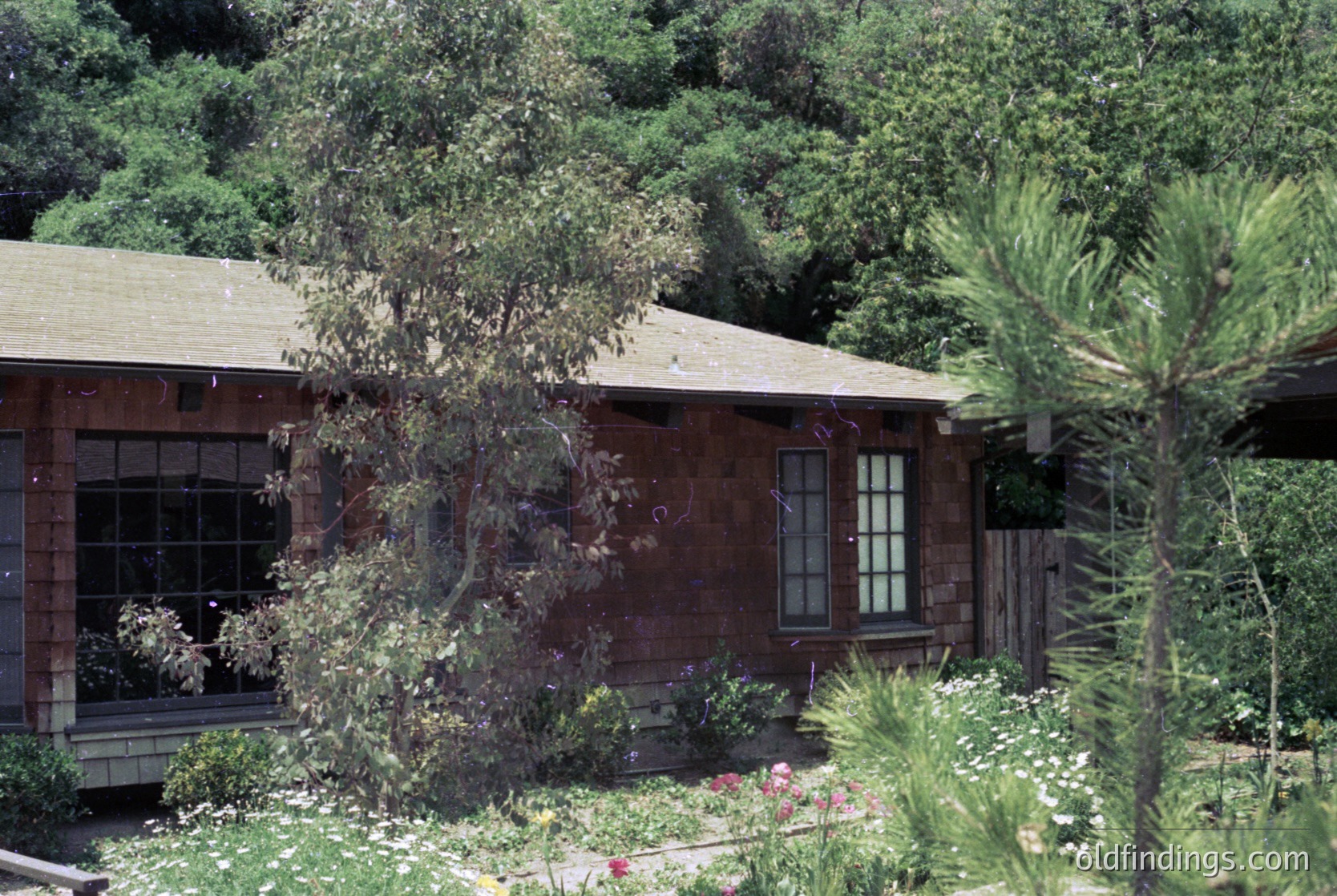Mid-century modern wooden house with large windows, surrounded by lush greenery and flowering plants. The architecture features clean lines and a sloped roof, typical of 1960s-1970s design.