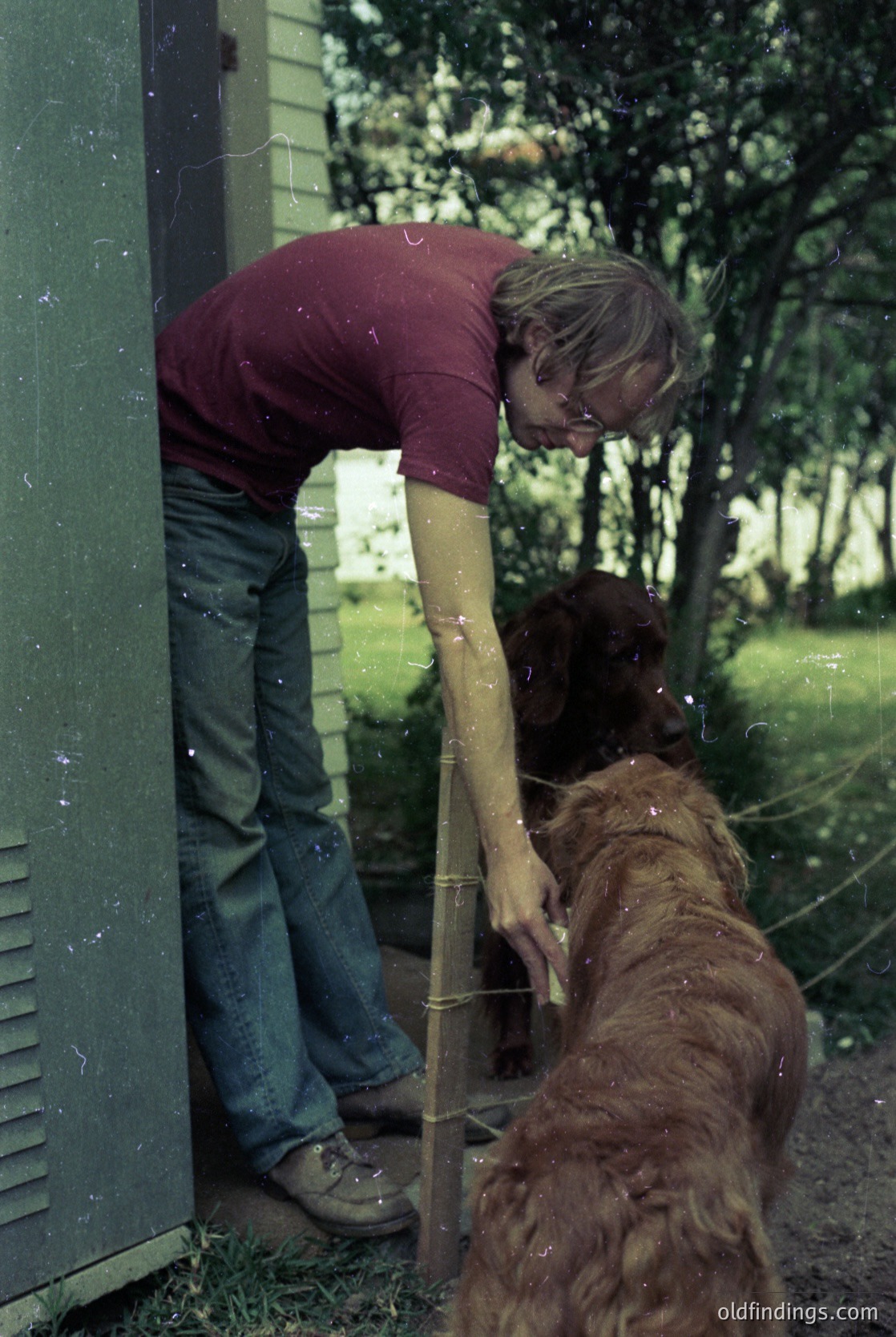 A man in a maroon T-shirt and jeans leans over a chain-link fence, petting a large brown dog. The scene appears outdoors, likely residential, with greenery and a house in the background. The dog’s wet fur suggests recent rain or water play.