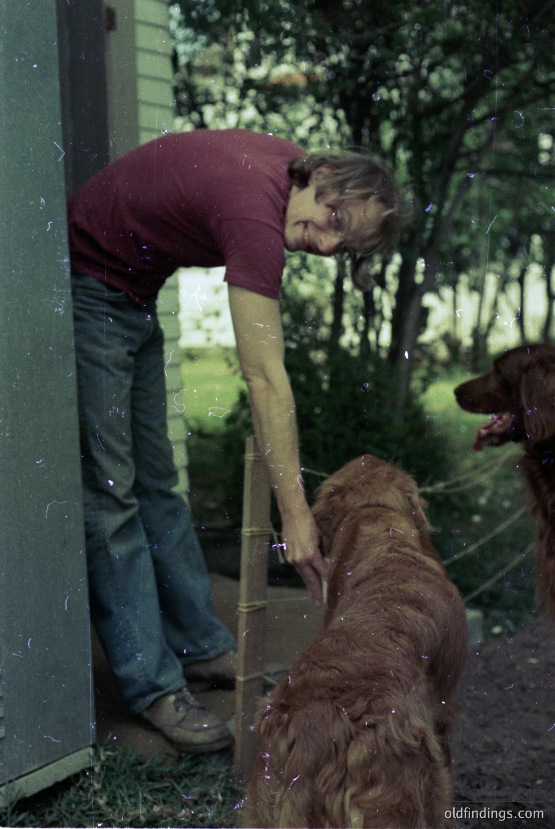 Man in maroon polo shirt and light-wash jeans pets large brown dog through frosted glass door, framed by greenery. Reflections suggest mid-20th century suburban home.