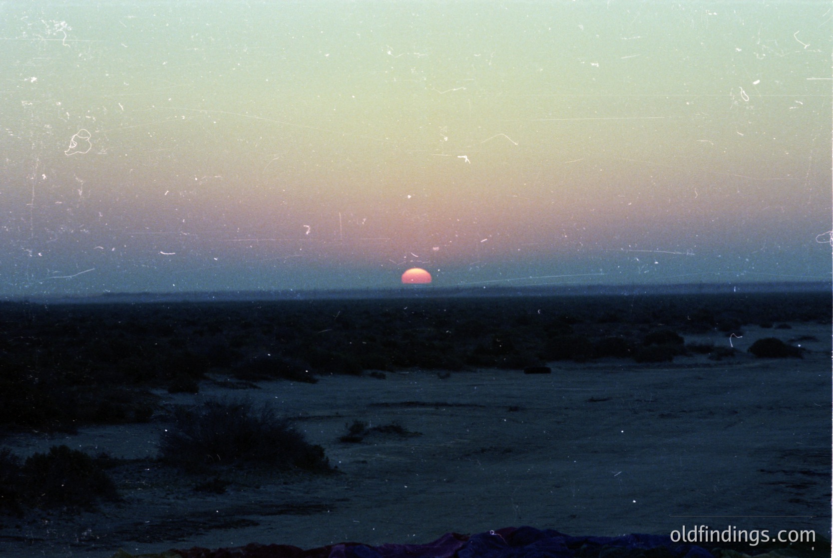 Vintage seascape with sunrise/sunset over calm waters, framed by coastal vegetation. Film grain and scratches suggest mid-20th century photography. Low-angle composition highlights horizon and soft sky hues.
