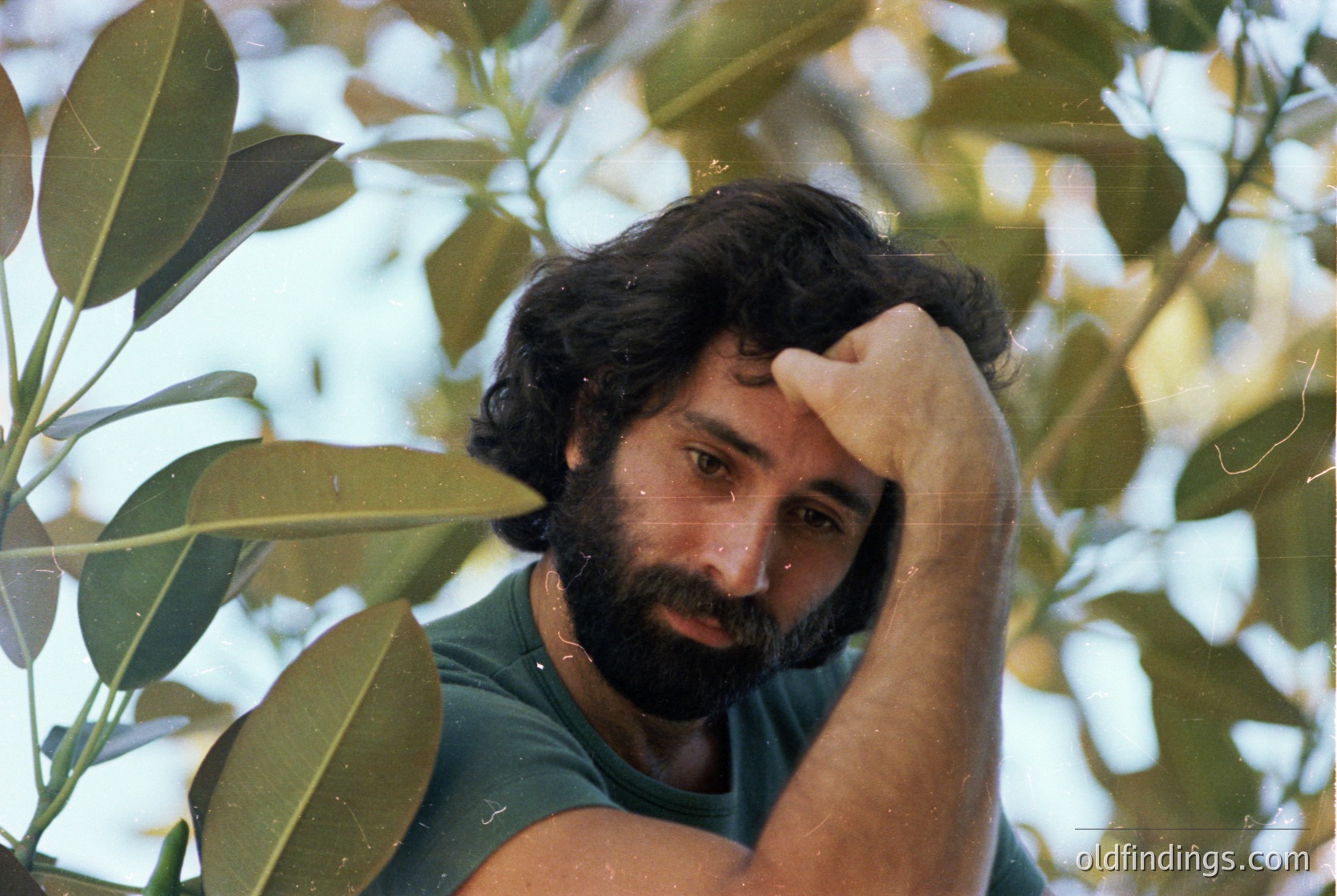 Man in olive grove, hand resting on forehead, mid-20th century attire ( ). Lush green foliage frames his face, suggesting Mediterranean or Southern European setting. Authentic vintage portrait ideal for historical research or design references.