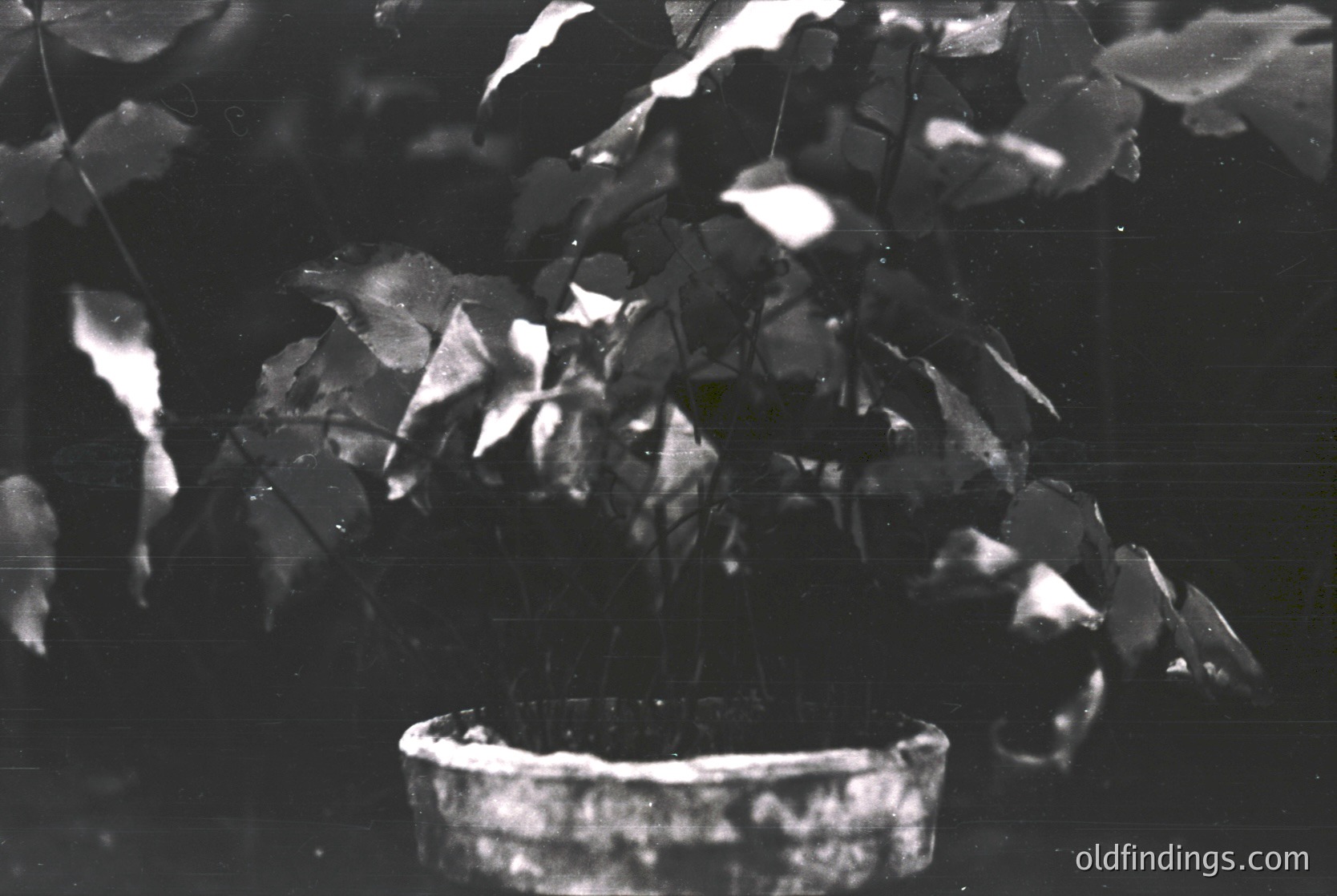 High-contrast black-and-white shot of shattered glass fragments and a broken rimmed bowl on a reflective surface. The composition highlights geometric glass shards and abstract light reflections. Ideal for texture studies or minimalist design references.