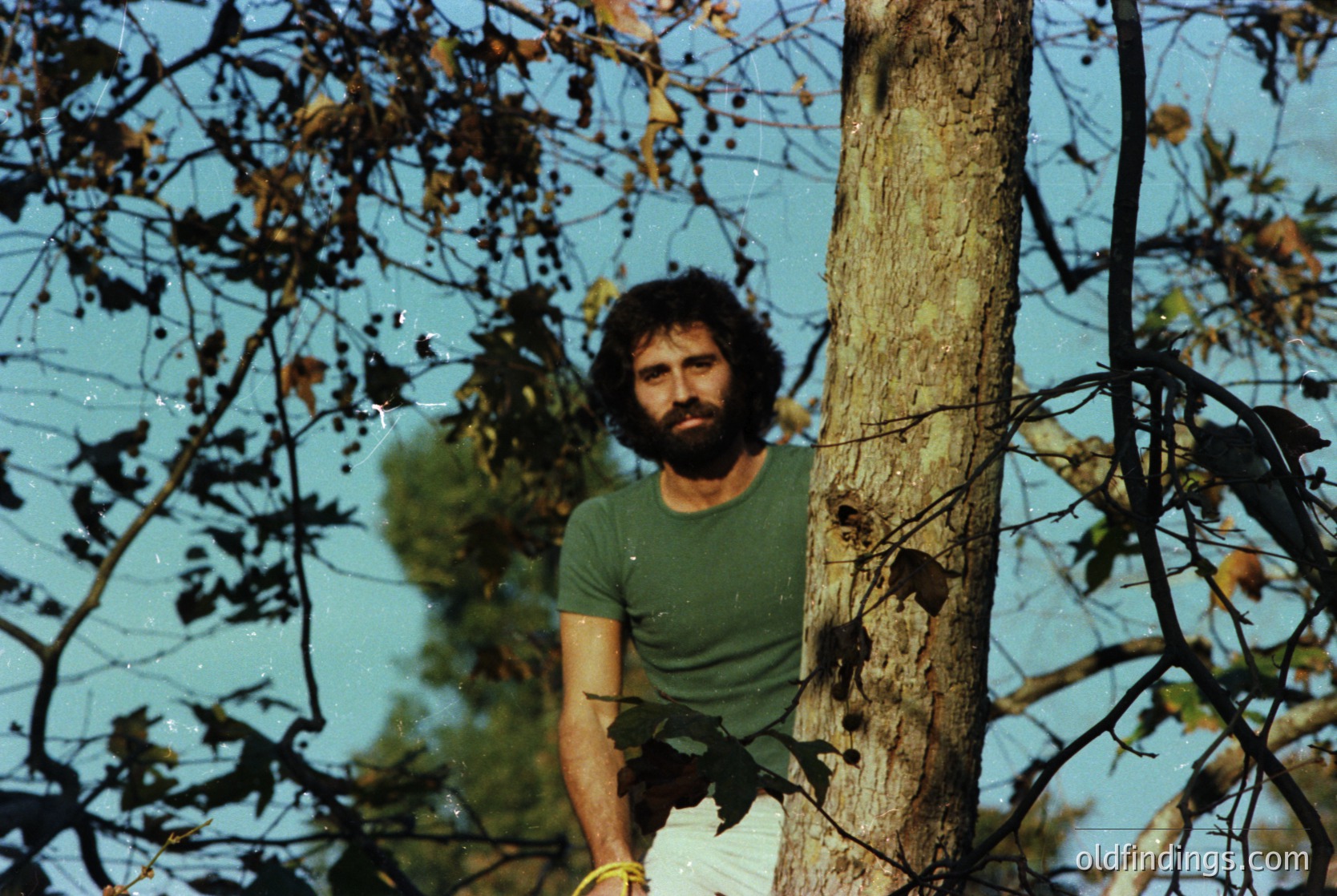 Man in 1970s-style casual wear leans against a tree trunk, partially obscured by autumn foliage. Vibrant green shirt and light-colored shorts suggest summer/early fall. Blurred water background hints at lakeside or riverside setting. Warm sepia tone indicates vintage photography.