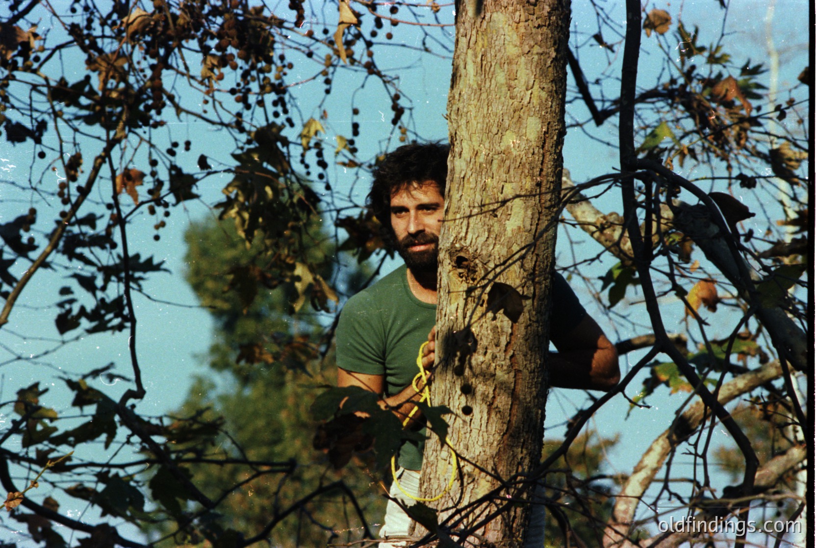 Portrait of a man in a green shirt leaning against a tree trunk, surrounded by autumn foliage. His beard and mustache suggest a mid-century style. Likely taken in the 1960s–1970s, evoking a vintage outdoor lifestyle.