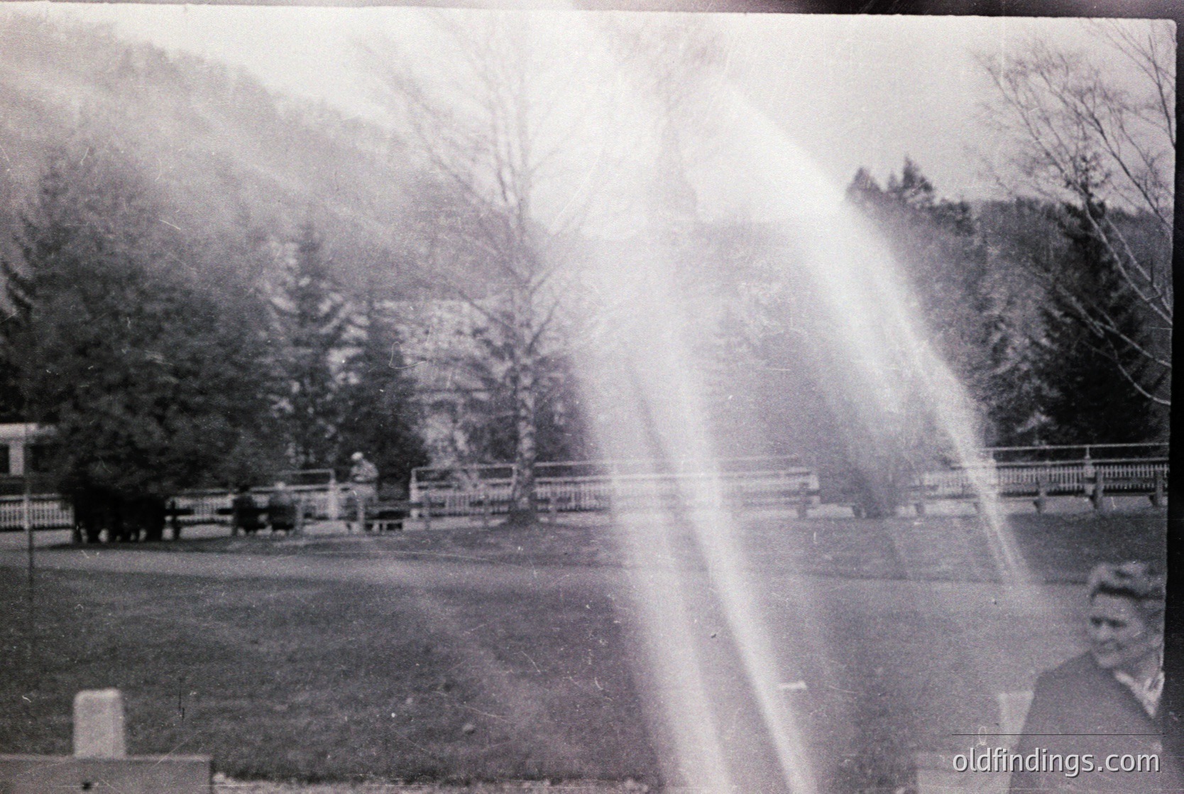 Vintage black-and-white photo of a rural park scene with a prominent wooden fence and railing in foreground. Sunlight streams through branches, creating lens flare. Two figures—one seated on a bench, another walking—suggest mid-20th century leisure. Dense forest and rolling hills in background.