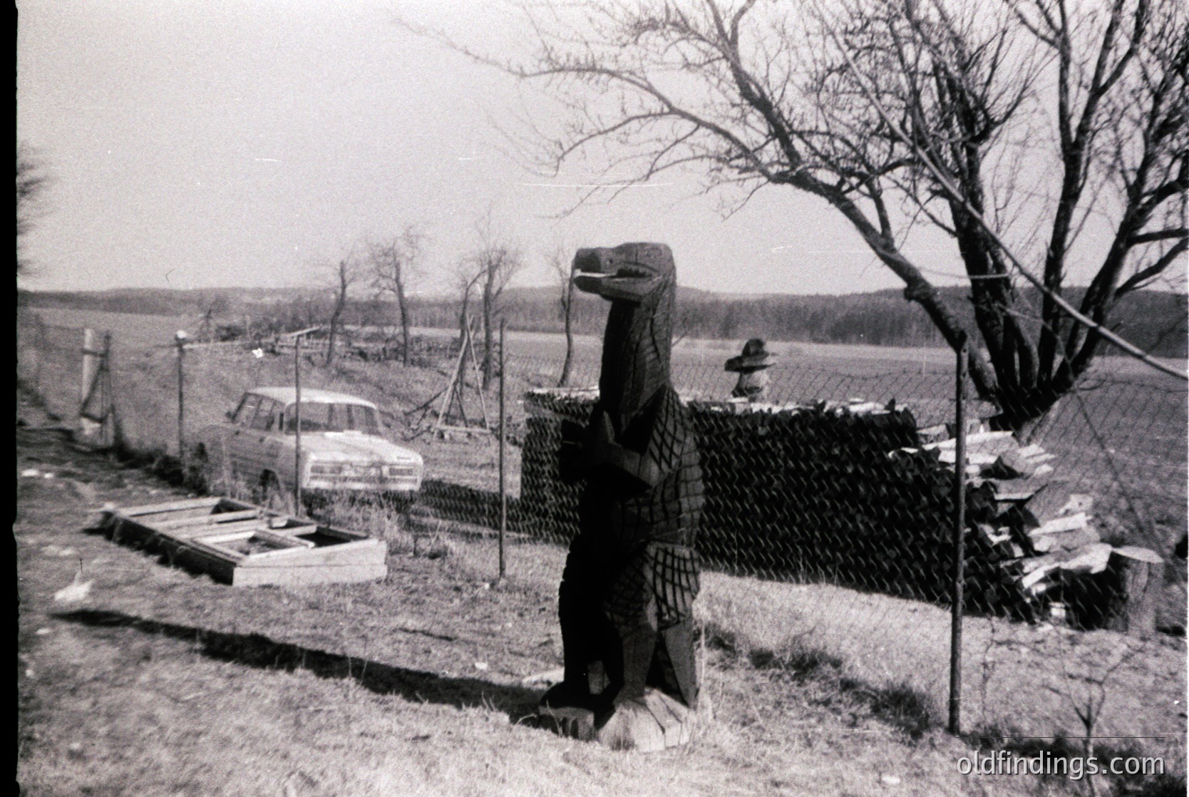 Hand-carved wooden dinosaur statue in rural setting, positioned near a chain-link fence. Mid-20th century farmhouse and vintage car visible in background. Open fields and sparse trees suggest agricultural land.