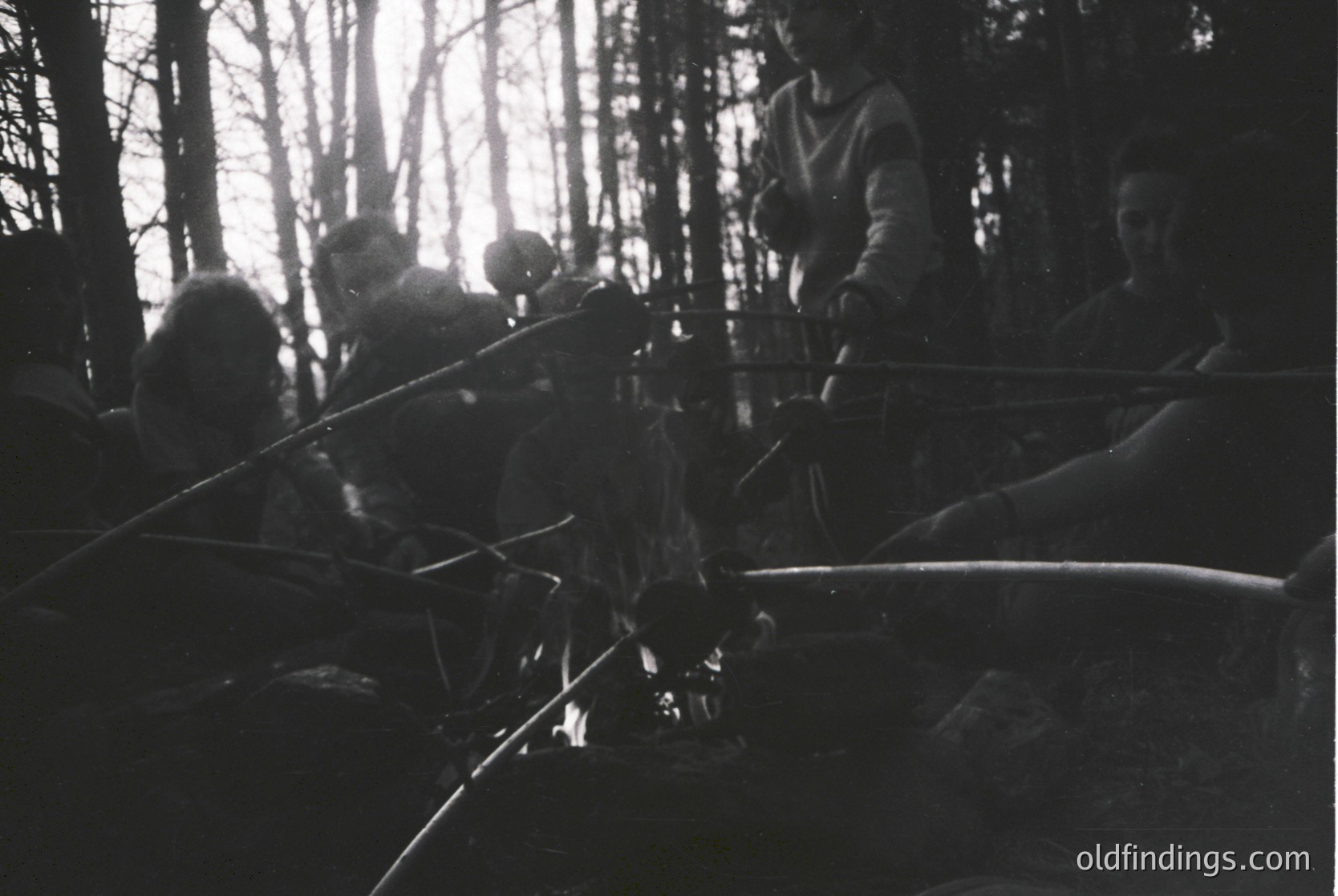 Silhouetted group of people in dense forest, silhouetted against sunlight filtering through trees. Likely mid-20th century outdoor gathering or expedition. Vintage black-and-white photography captures natural light and wooded setting.