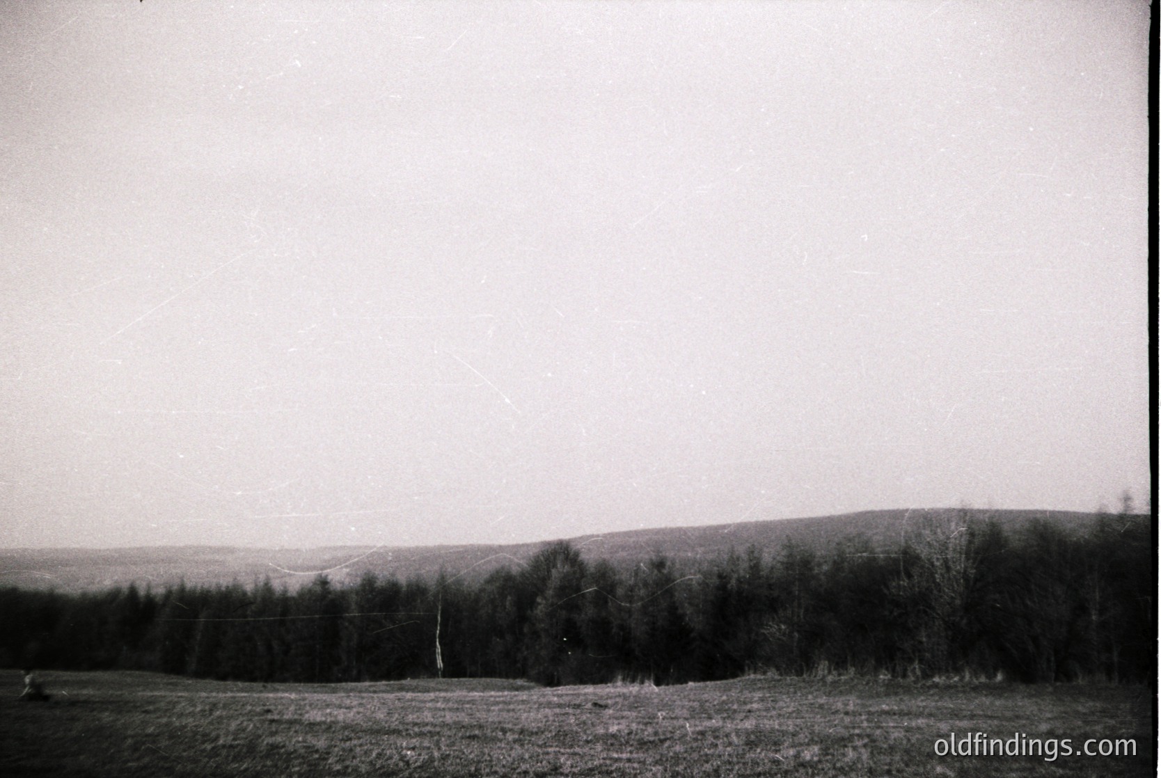 Vintage black-and-white landscape featuring open field with sparse vegetation, bordered by dense forest and rolling hills under overcast skies. Mid-20th century rural setting, likely European. Ideal for historical research or nostalgic design references.