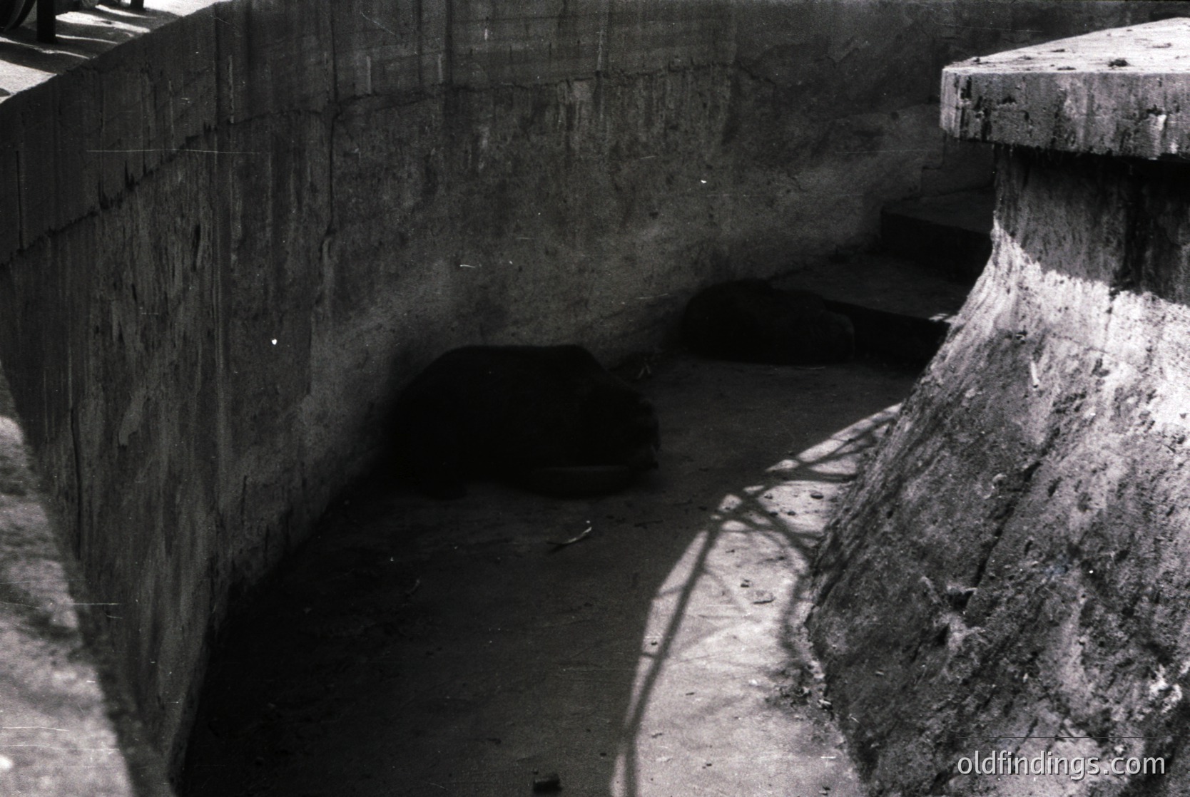 Concrete-lined tunnel with worn, textured walls and ceiling, likely industrial or urban infrastructure. Shadows cast by overhead beams create depth. Black-and-white monochrome suggests vintage or archival quality.