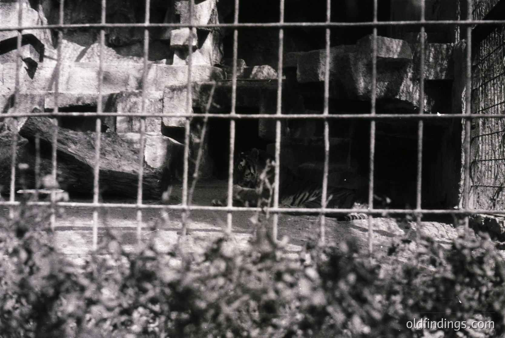 Black-and-white industrial shot of a rusted metal cage enclosing a pile of scrap metal and debris. The geometric shadows and weathered textures suggest an abandoned or decommissioned facility. Likely mid-20th century, possibly a scrapyard or factory.
