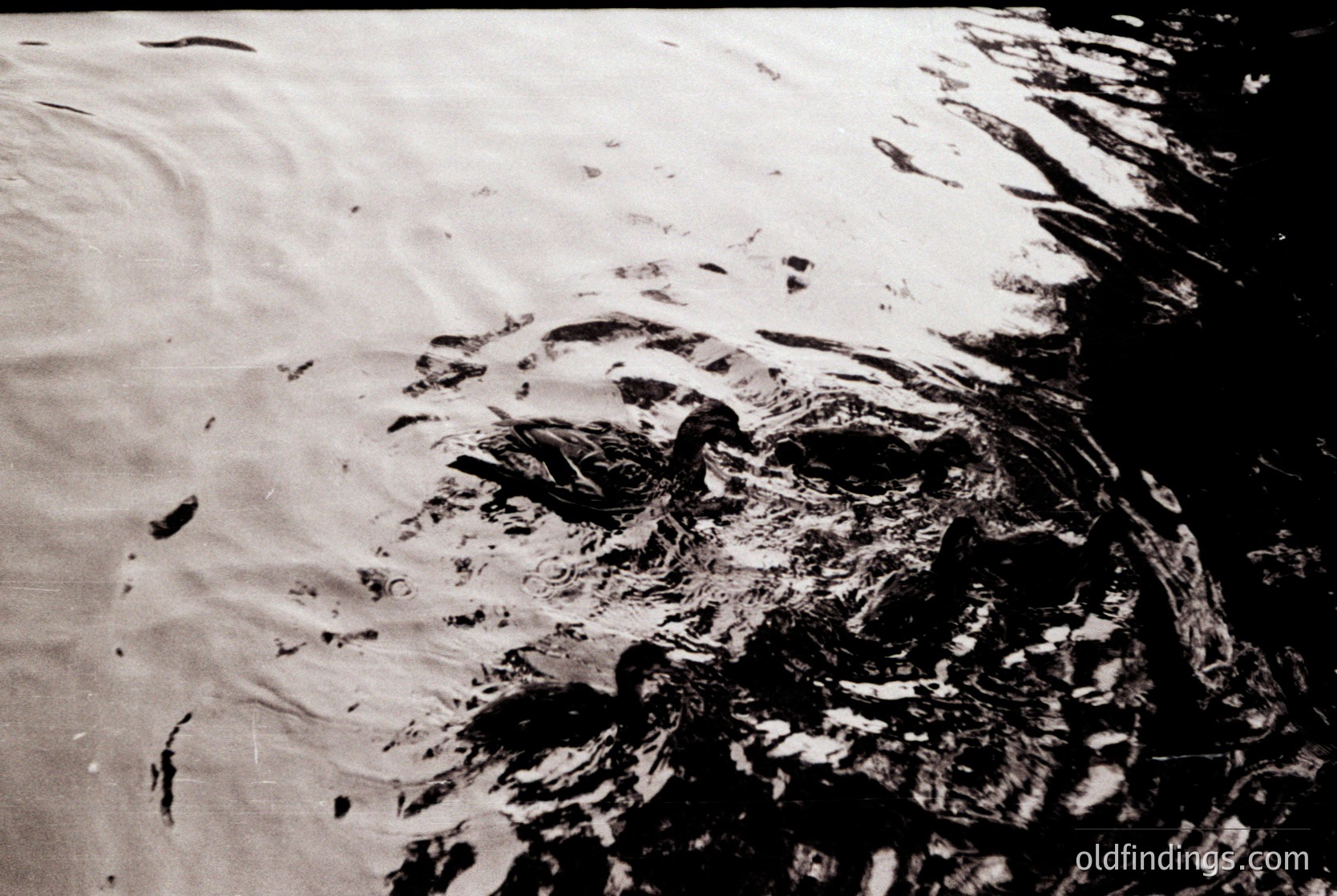Black-and-white aerial view of a rocky coastline with turbulent waves crashing against jagged cliffs. The texture of the rocks contrasts with the smooth water surface, capturing raw coastal erosion. Likely mid-20th century due to monochrome and composition style.