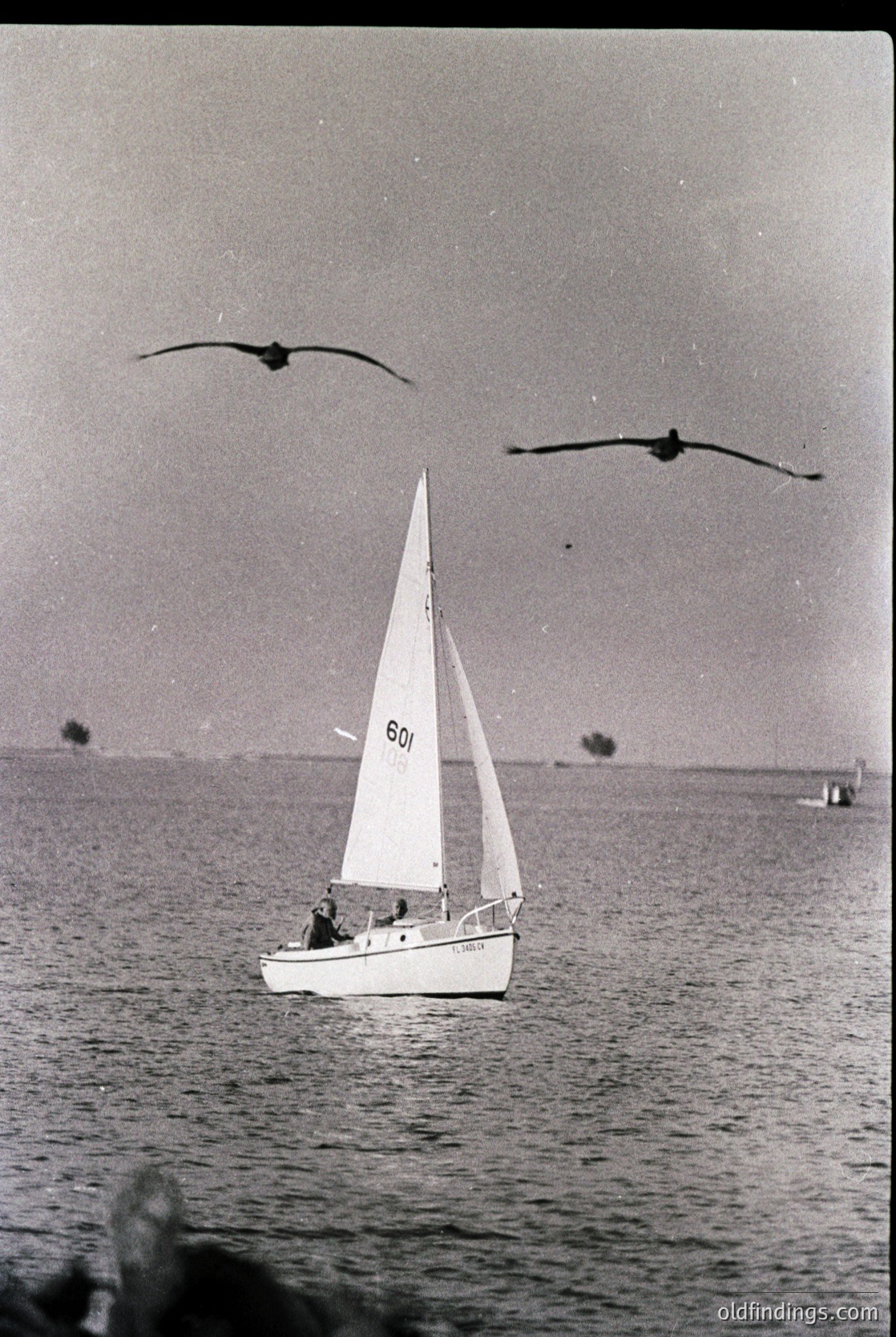 Vintage sailboat () gliding on calm waters, with two seagulls in flight above. Mid-20th century maritime scene, likely coastal Europe. Ideal for vintage travel or nautical history research.