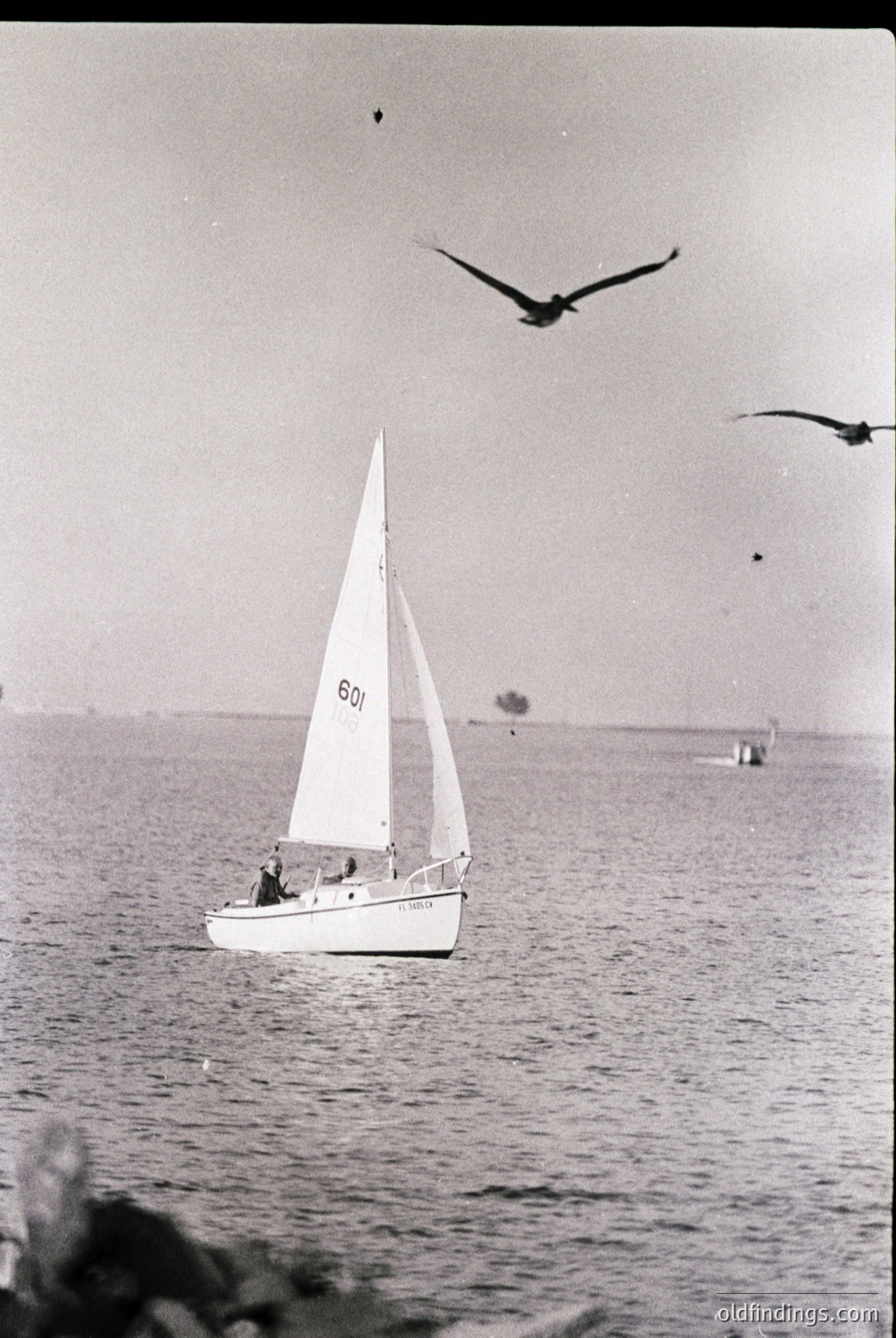 Vintage monochrome sailboat () gliding on calm waters, with two seagulls in flight. Mid-20th century coastal scene, likely European seaside. Ideal for maritime history or vintage travel inspiration.