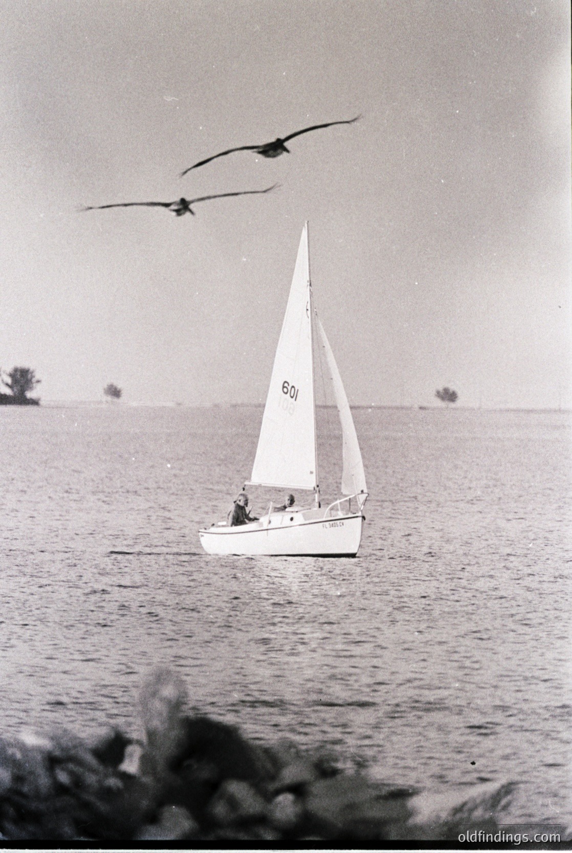 Classic black-and-white sailboat on calm waters, marked "601," with two birds gliding overhead. Mid-20th century maritime scene, likely coastal Europe or North America.