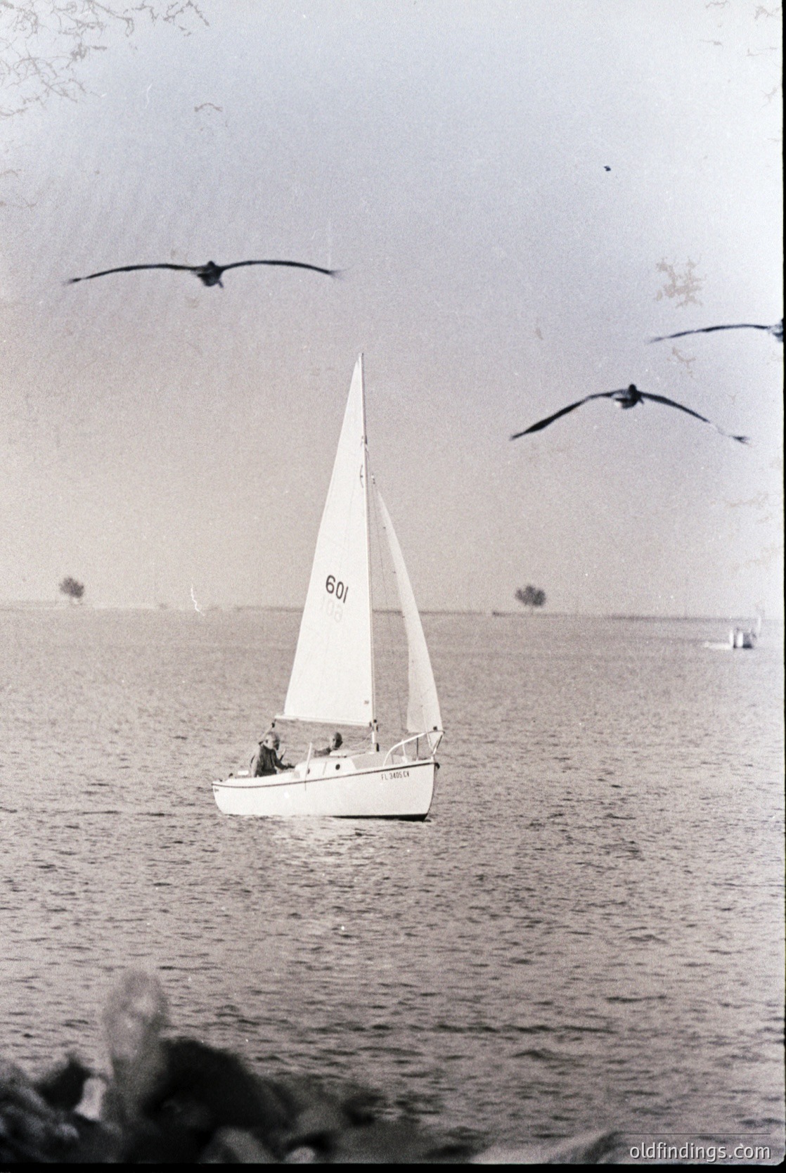 Vintage black-and-white sailboat on calm waters, marked "601," with two birds in flight. Mid-20th century coastal scene, likely European.
