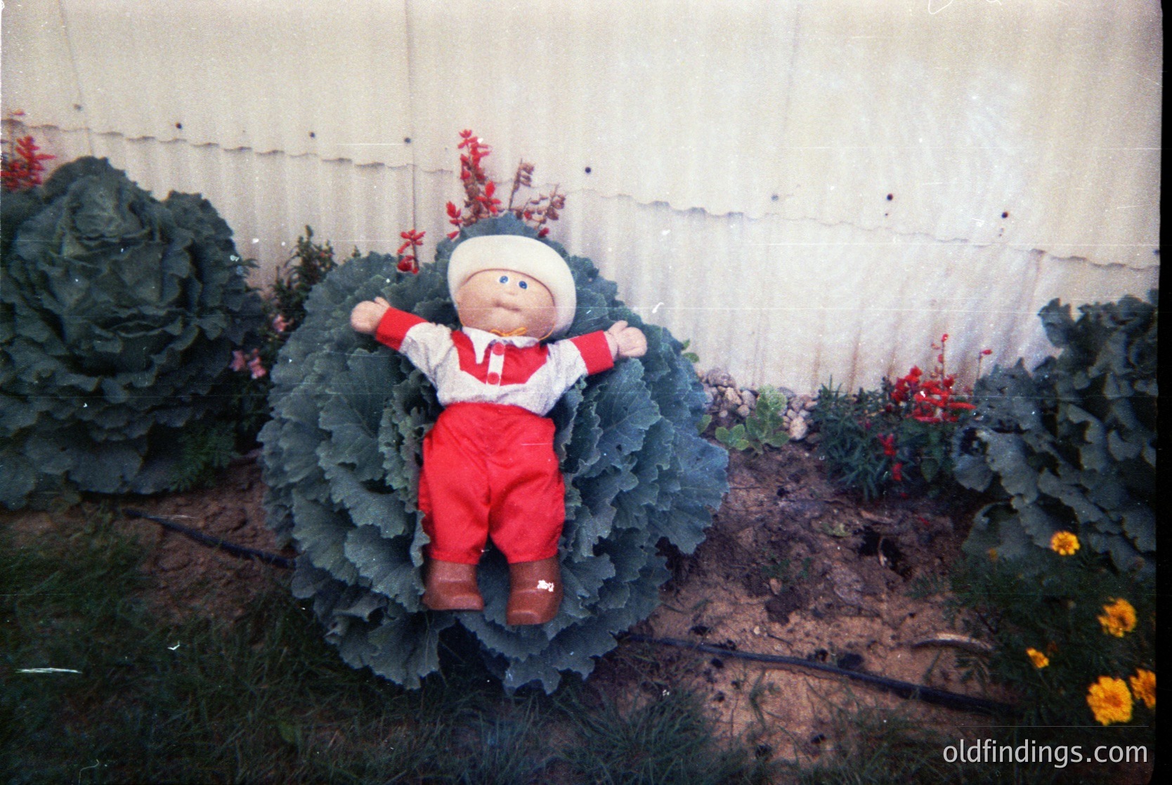 Vintage stuffed bear seated atop a large cabbage sculpture in a garden, surrounded by blooming flowers and greenery. The bear wears a white hat with a red band and red-and-white striped overalls. Likely a 1970s–1990s garden display or decorative art piece.