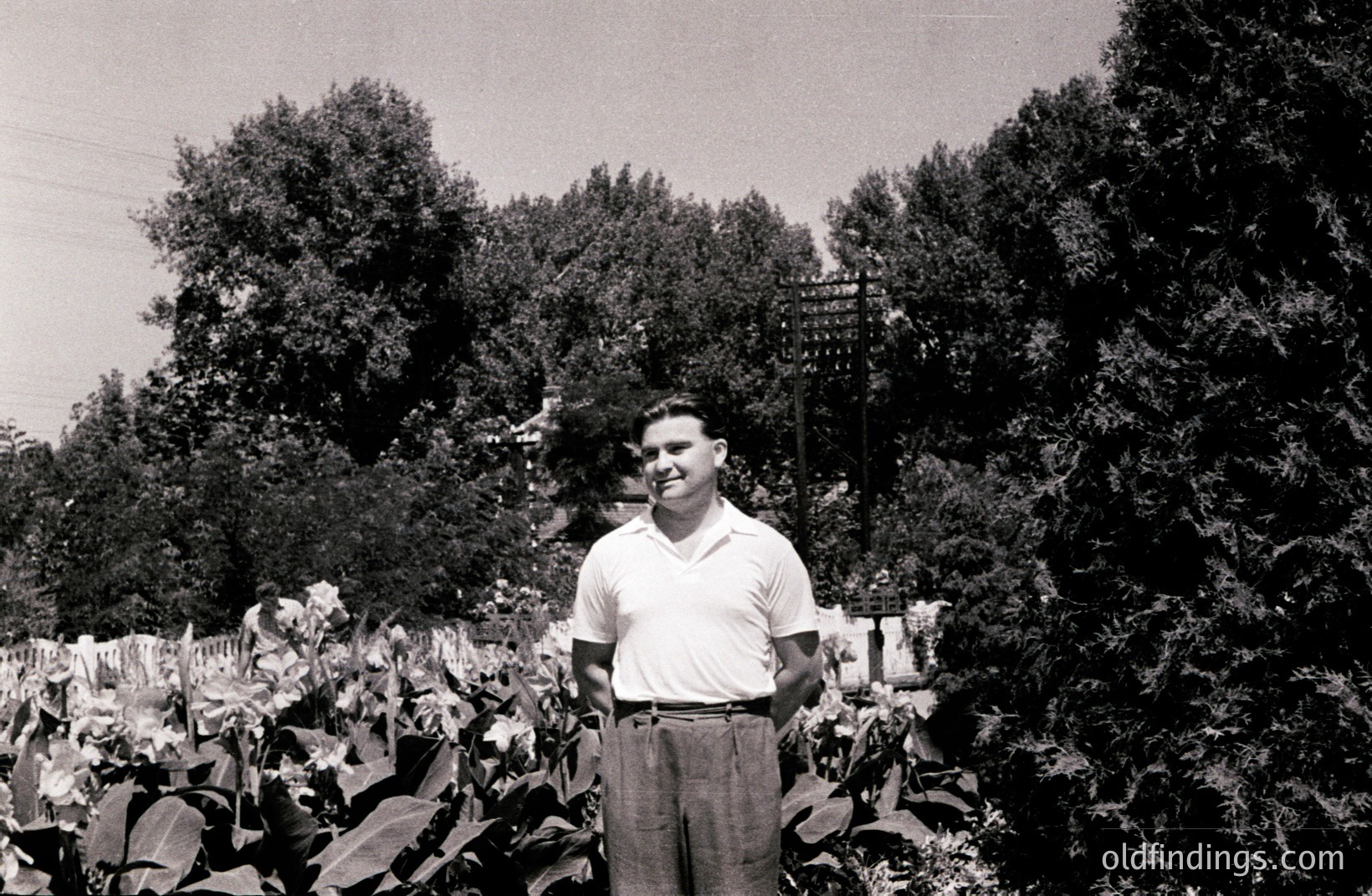 Man stands among tall, broad-leafed plants, likely cannas, in a garden setting. He wears a short-sleeved shirt and high-waisted trousers, a style common in the 1950s. Background shows a residential area and lush foliage. Appears to be a posed portrait, likely a family or local record.
