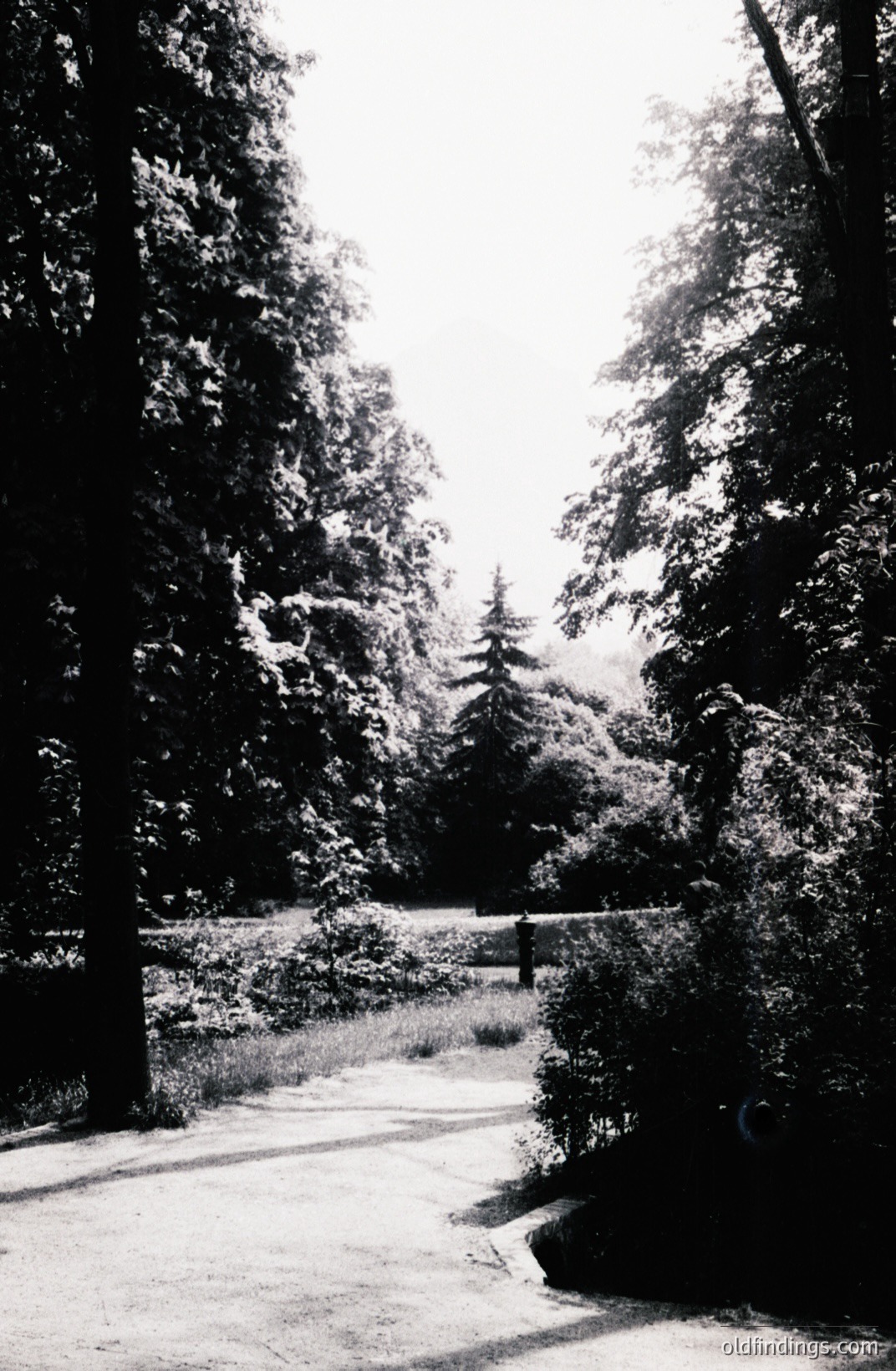 A winding path leads through dense foliage, forming a dark, natural corridor. A lone figure is visible mid-path, receding into distance. Likely a park or garden setting; soft lighting suggests overcast day. Vintage aesthetic, possibly 1970s era. Appears suitable for landscape design references.