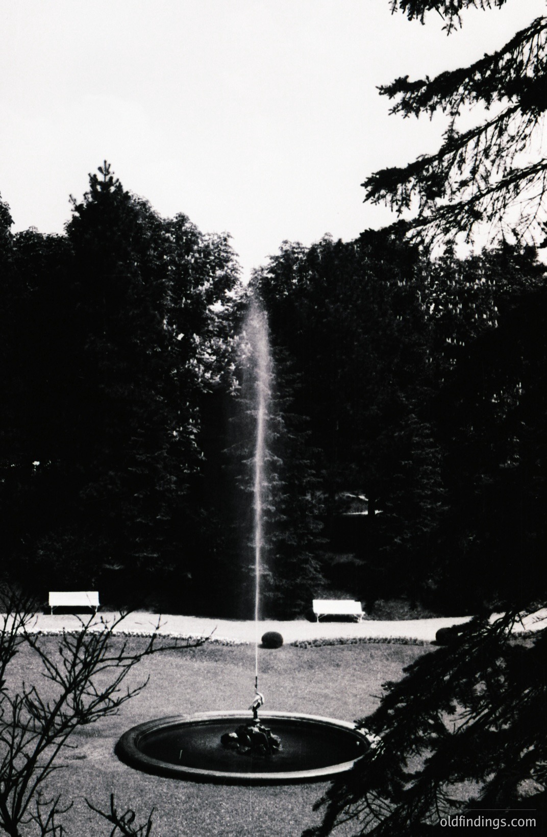 A dramatic, high-contrast black and white photo showcasing a central fountain within a manicured garden. The fountain's water jet shoots upward, drawing the eye. Benches line a path in the background. Likely a formal European garden, possibly 1970s or earlier. Suitable for design inspiration.
