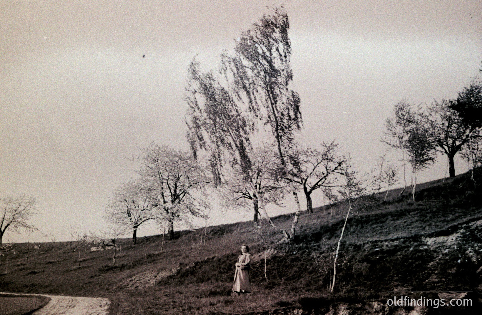 A lone figure stands on a grassy hillside beneath a dramatically windswept tree. The landscape features scattered trees and a dirt path. Likely early 20th century, photographic style suggests a travel document or early landscape study. A serene, slightly melancholy mood.