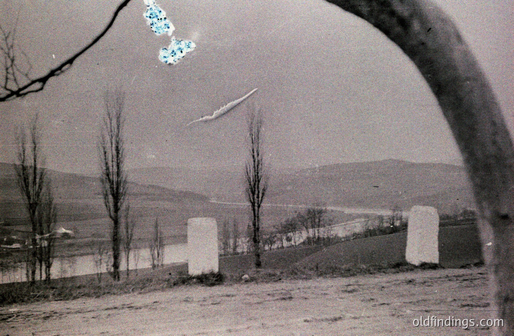 Monochrome image depicting a landscape with two stark, rectangular monuments on a grassy slope. A line of trees stretches across the horizon, beyond a body of water. Likely Eastern European, possibly Bulgaria. Architectural details suggest mid-20th century design. A tree branch frames the top of the image.