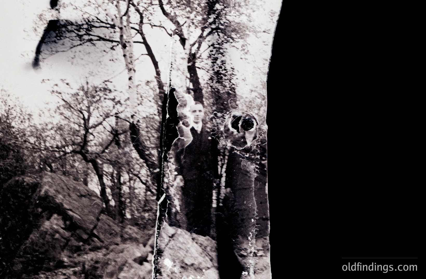 Striking black and white photo depicts a weathered, abstract view through a partially obscured window. Treeline & rocky hillside visible, framed by a vertical tear/crack bisecting the image. Suggests decay & fragmentation. Likely mid-20th century, potentially architectural study.