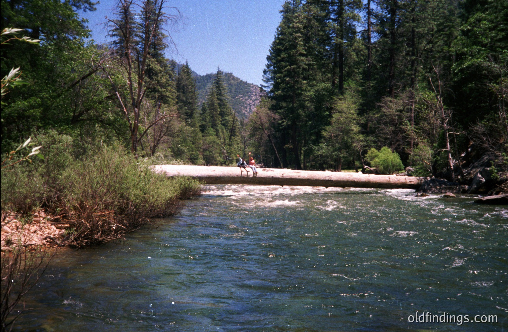 A log serves as a makeshift bridge over a swift, shallow river. Pine trees frame the scene with a backdrop of mountains. Two figures, possibly hikers, are visible on the log. Likely captured in the 1970s or 80s based on film quality. Natural landscape and recreation theme.