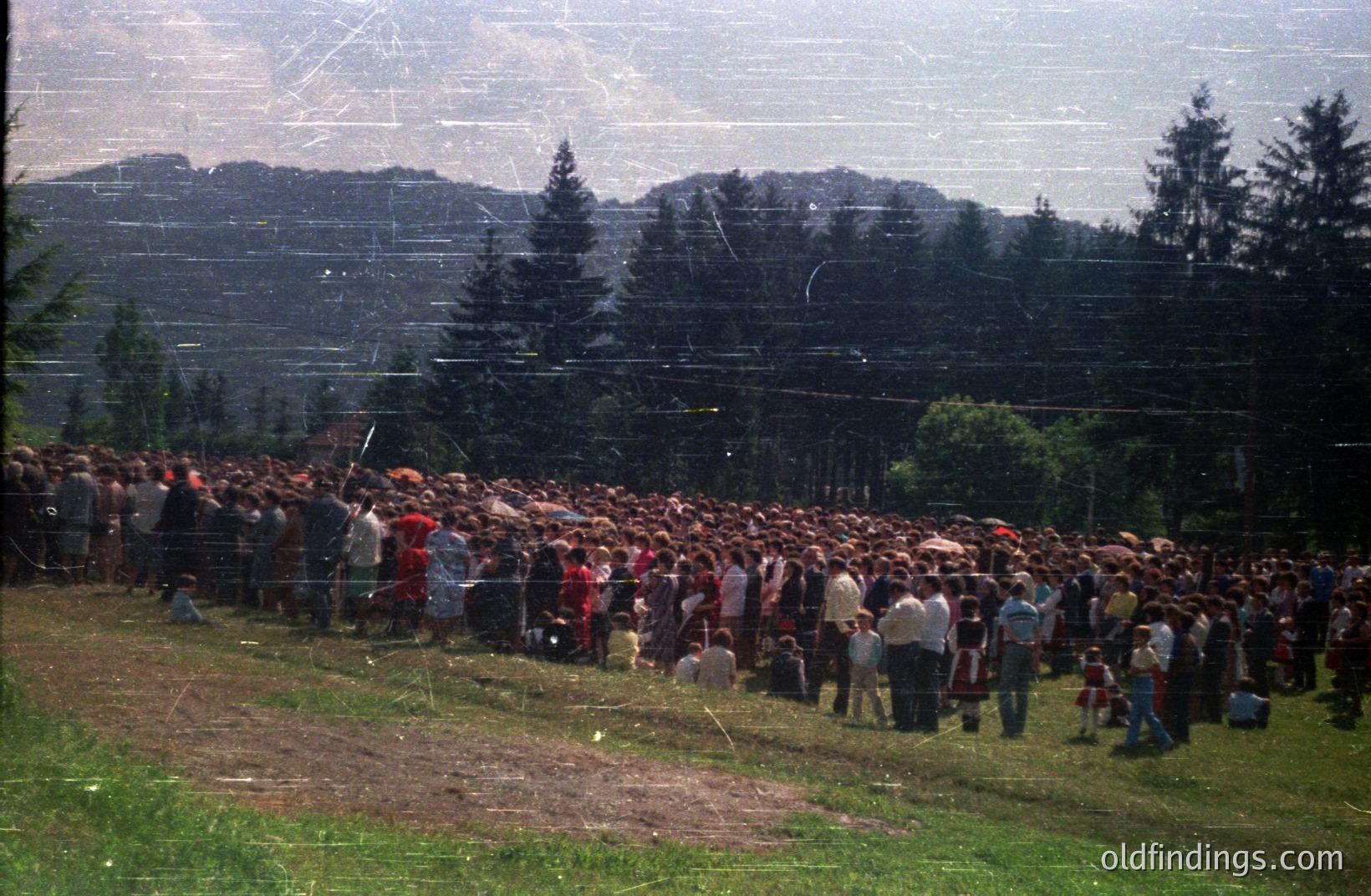 Large gathering of people in a grassy field, extending into the distance. Dense pine forest and rolling hills form the backdrop. Appears to be an outdoor event, possibly a festival or rally. Clothing styles suggest the 1970s or 1980s.