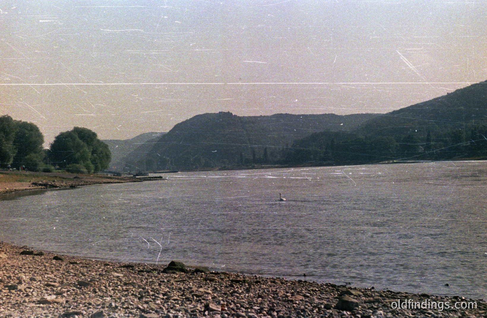 A wide, calm river reflects the surrounding landscape of rolling hills and lush greenery. A single swan swims in the foreground. Pebble shoreline in the lower portion, likely a riverbank or lakeside scene. Appears to be a vintage photograph given the surface grain and tonal qualities.