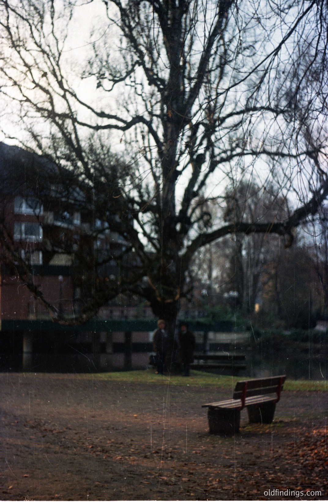 A large, bare tree dominates the frame overlooking a waterway and brick apartment complex. A bench sits foreground, with figures in winter outerwear visible by a bridge. Appears to be a park scene, potentially a residential area. Likely 1980s or 1990s film photography.