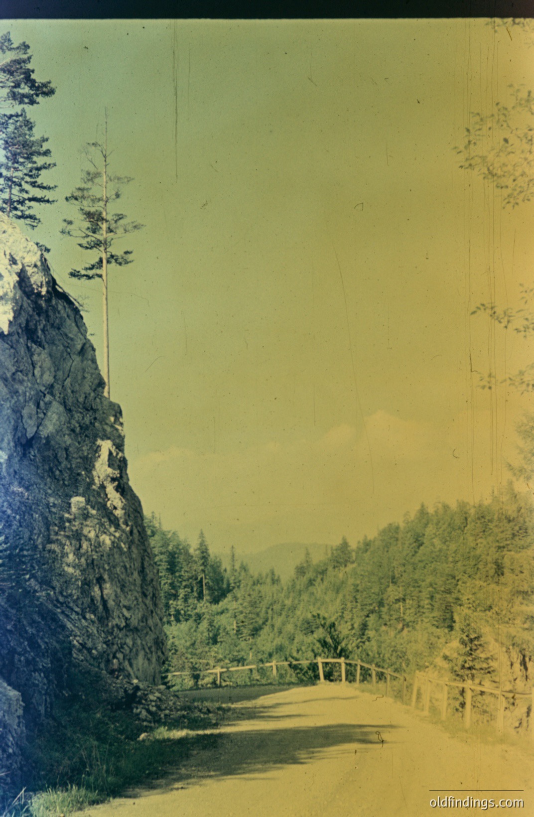 Roadway curves through a dense evergreen forest, framed by a rocky cliff face on the left. Distant mountain range visible on horizon. Faded yellow-green hue suggests early color photography, potentially 1930s-1960s. Rustic wooden railing lines the road. Potential stock photo reference.