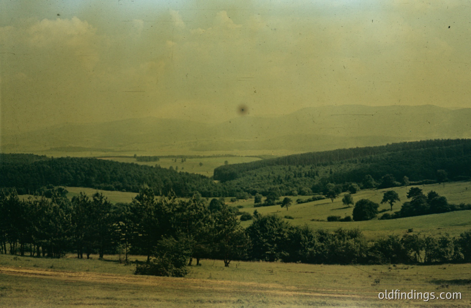 A sweeping view of rolling hills and dense forest, likely in Eastern Europe. A warm, slightly faded color palette suggests a mid-century (1960s-1970s) photographic print. Distant mountains are visible on the horizon. Captures a tranquil, pastoral landscape.