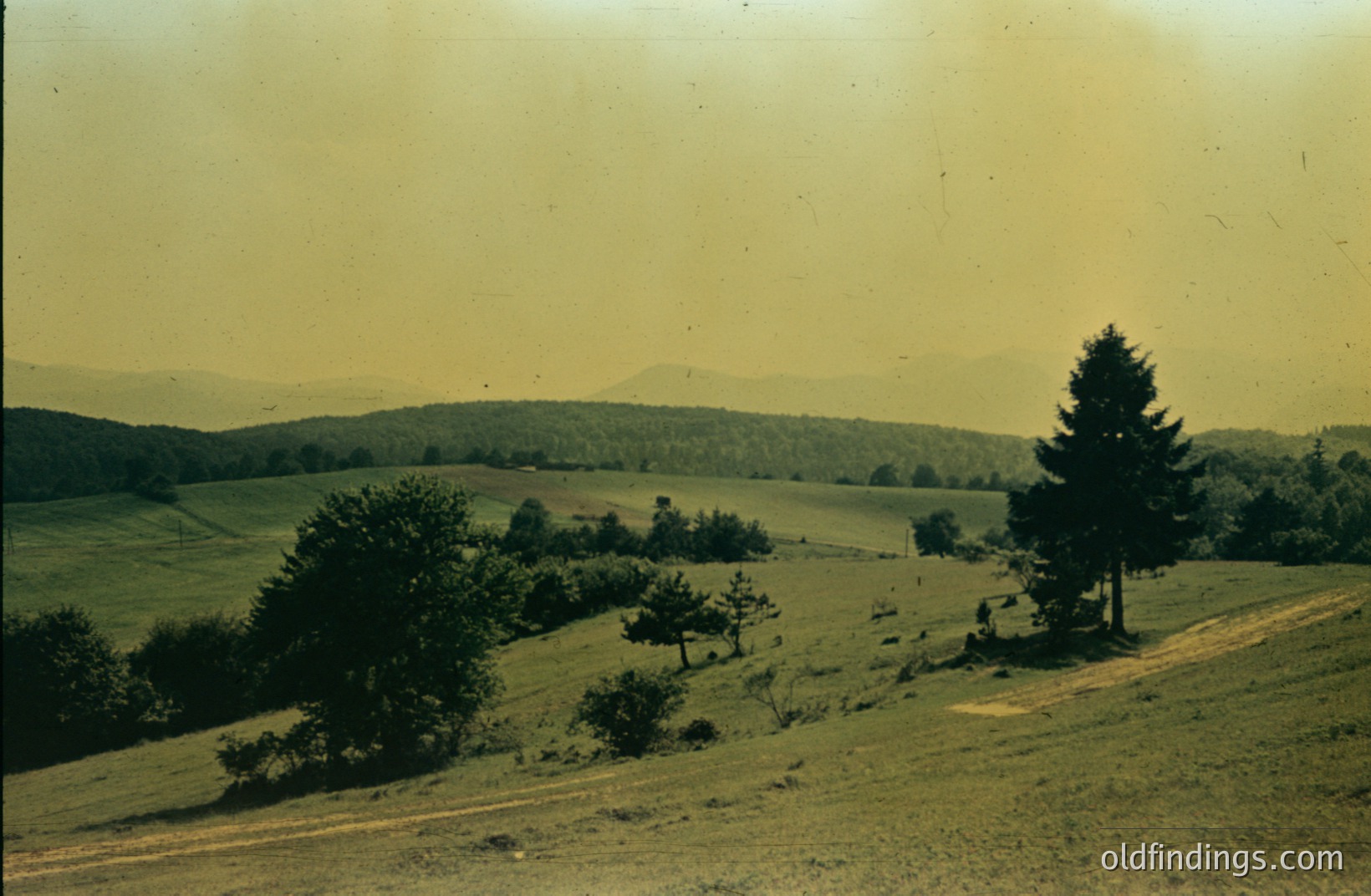 Sweeping panorama of rolling hills and forested mountains under a hazy sky. A dirt track leads toward the landscape. The image, likely captured on film, exhibits a warm color cast and slight grain. Evokes a sense of rural tranquility, possibly Eastern Europe.