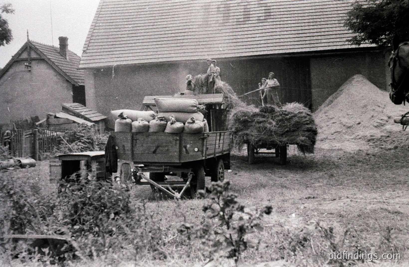 Hay harvest scene. A trailer loaded with bundled hay and sacks is parked near a farm building. Two figures are visible on the trailer, seemingly managing the load. Rustic architecture and overgrown vegetation suggest a rural setting. Likely mid-20th century.
