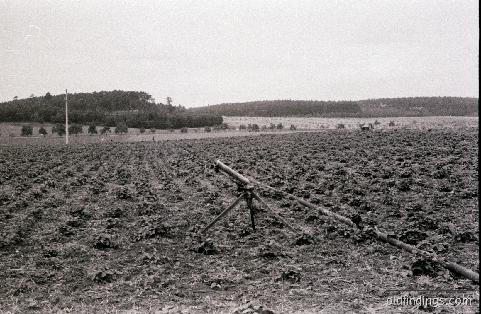 A field artillery piece, likely a World War I-era field gun, sits mounted on a tripod within a cultivated field. The surrounding landscape features rolling hills and dense woodland. Appears to be a training exercise or abandoned equipment. Likely 1910s-1930s.