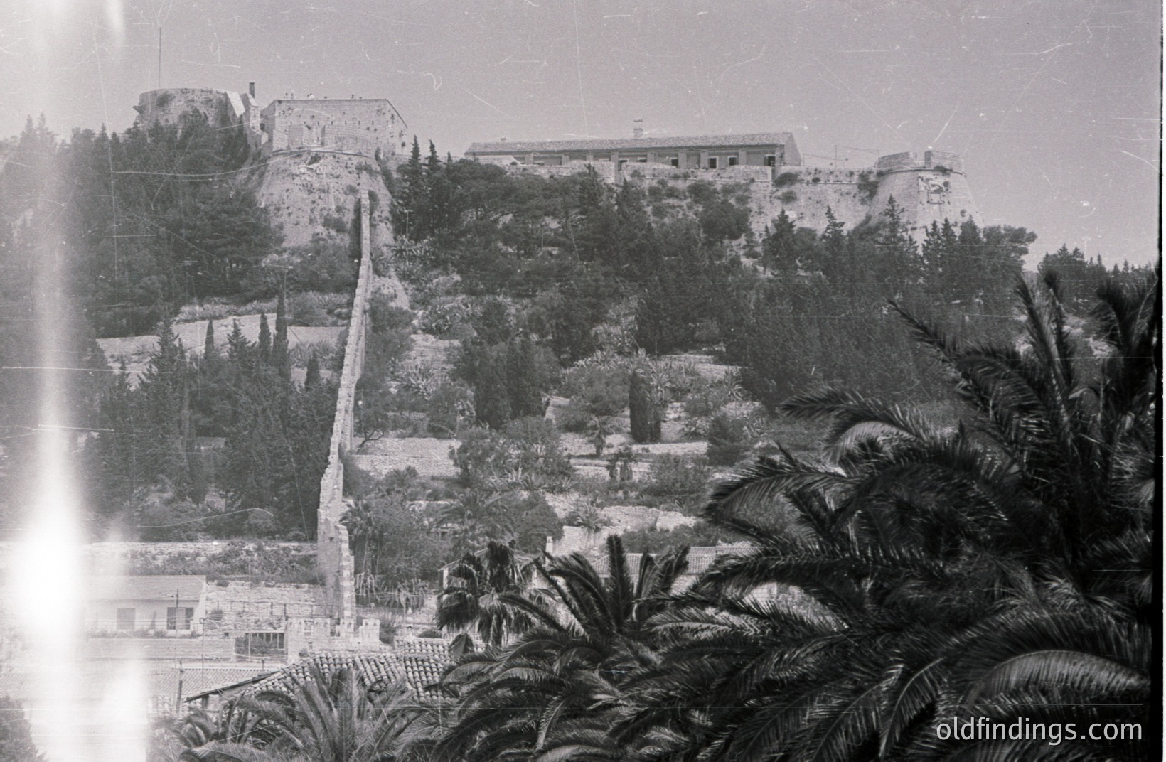 Overlooking the Black Sea, a fortified complex perches atop a steep, forested hill. A long stone wall snakes upwards, leading to the upper structures of the fortress. Palm trees in foreground suggest a warm coastal climate. Likely Bulgaria, 1970s.