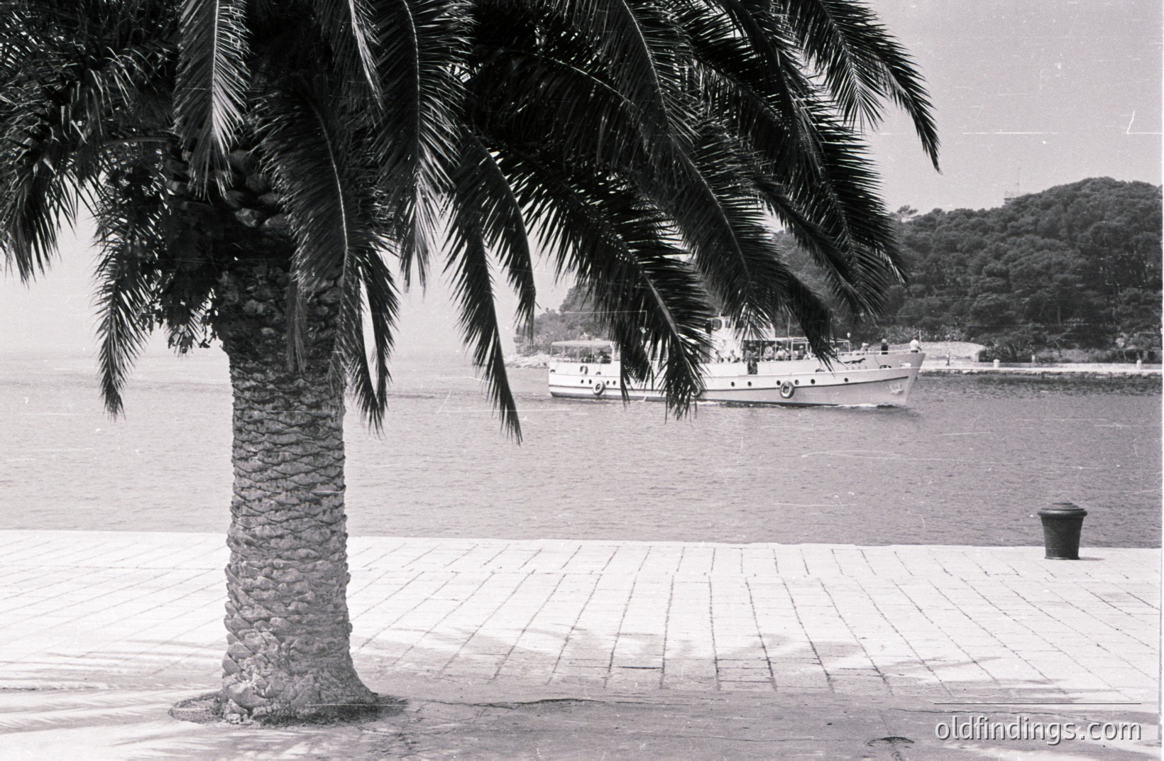 A palm tree dominates the foreground of this black and white image, partially obscuring a small boat on the water. A paved promenade runs along the waterfront, with a trash receptacle visible. Lush, forested hills rise in the background. Likely coastal Bulgaria, circa 1970s. A classic seaside scene.