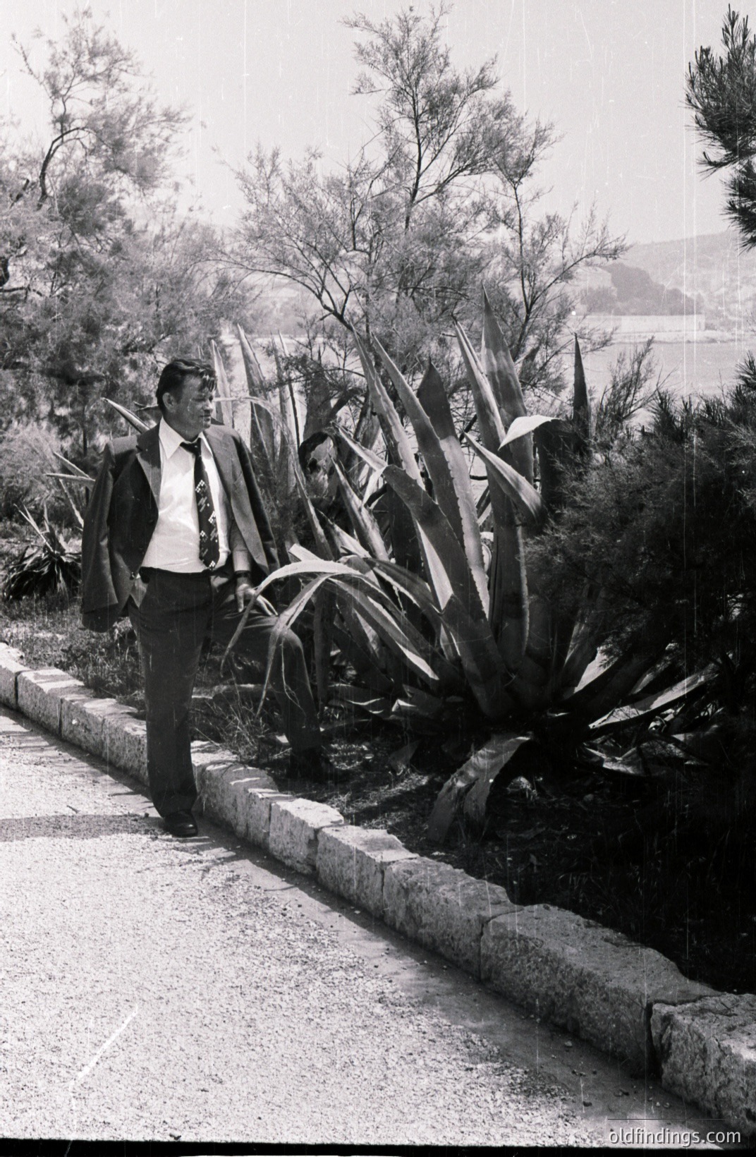 A formally dressed man stands beside a stone curb overlooking a coastal view. He wears a suit, tie, and appears relaxed, with a shoulder casually draped. Lush greenery and agave plants fill the foreground. Appears to be a candid portrait, likely 1960s-1970s.
